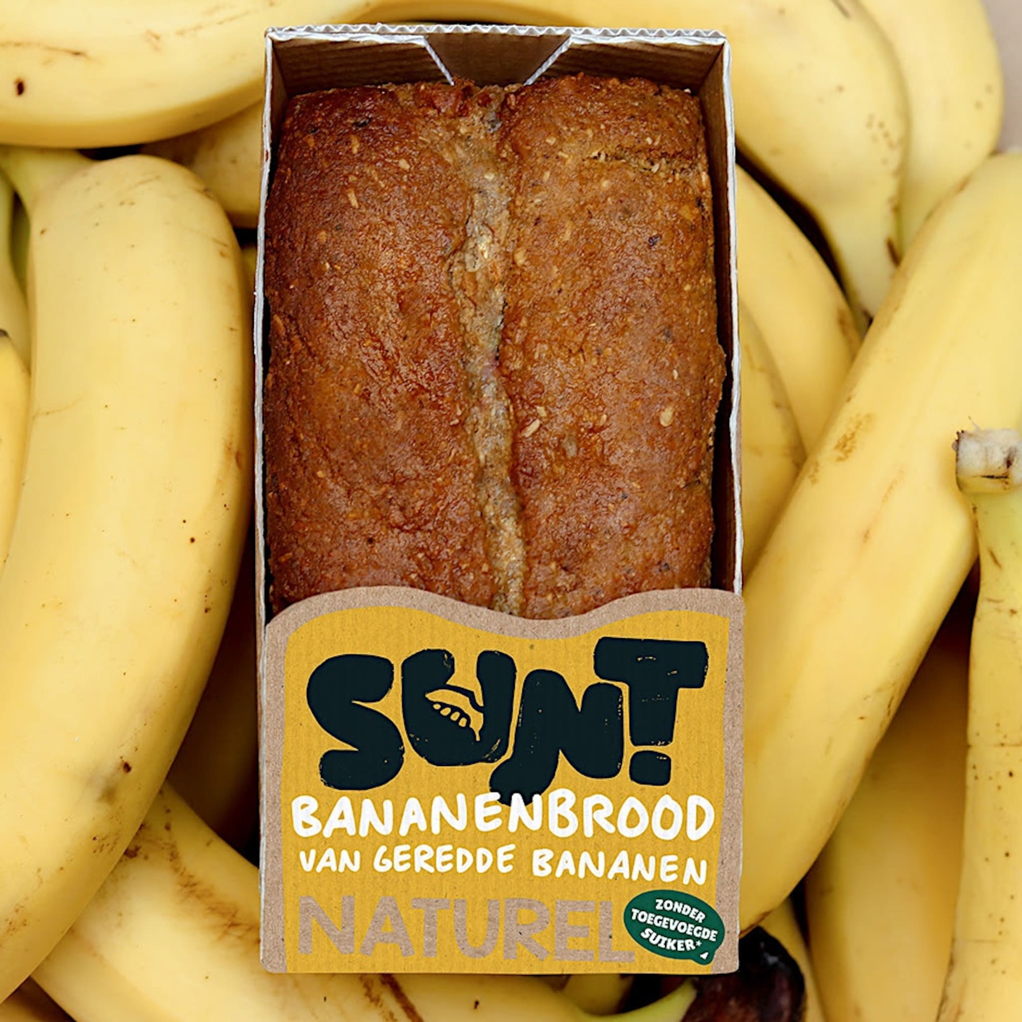 startup sunt haalt 1 1 miljoen groeigeld op voor bouw eigen bananenimperium