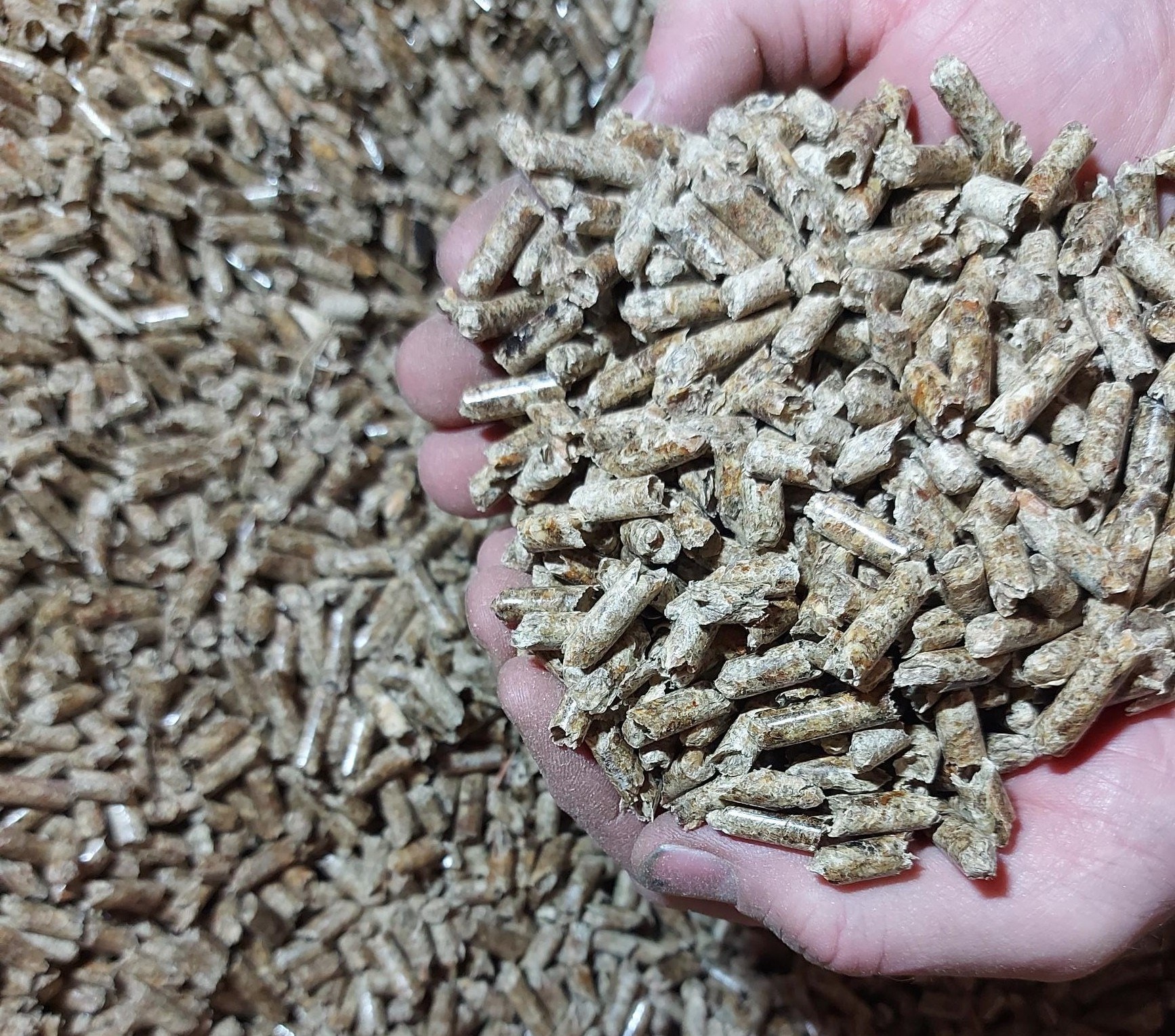Een handvol pellets. Foto: Fripel