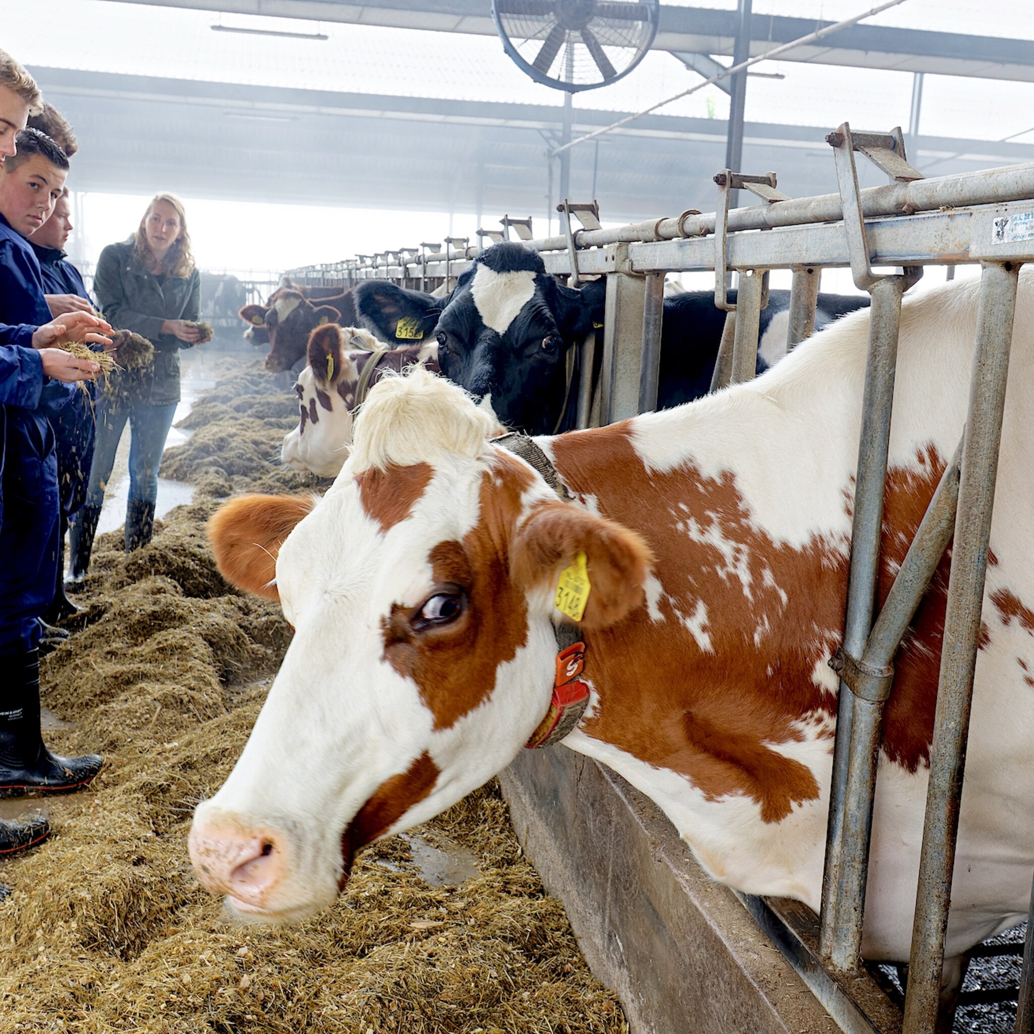 heeft de boer nog toekomst natuurlijk zeggen jonge boeren in opleiding