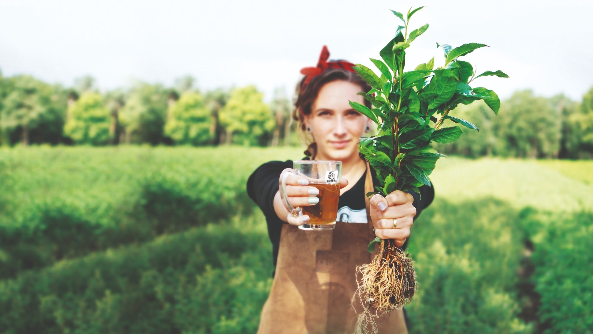 Dionne Oomen presenteert de lokale thee van LocalTea, die sinds deze week ook in België verkrijgbaar is. Foto: LocalTea