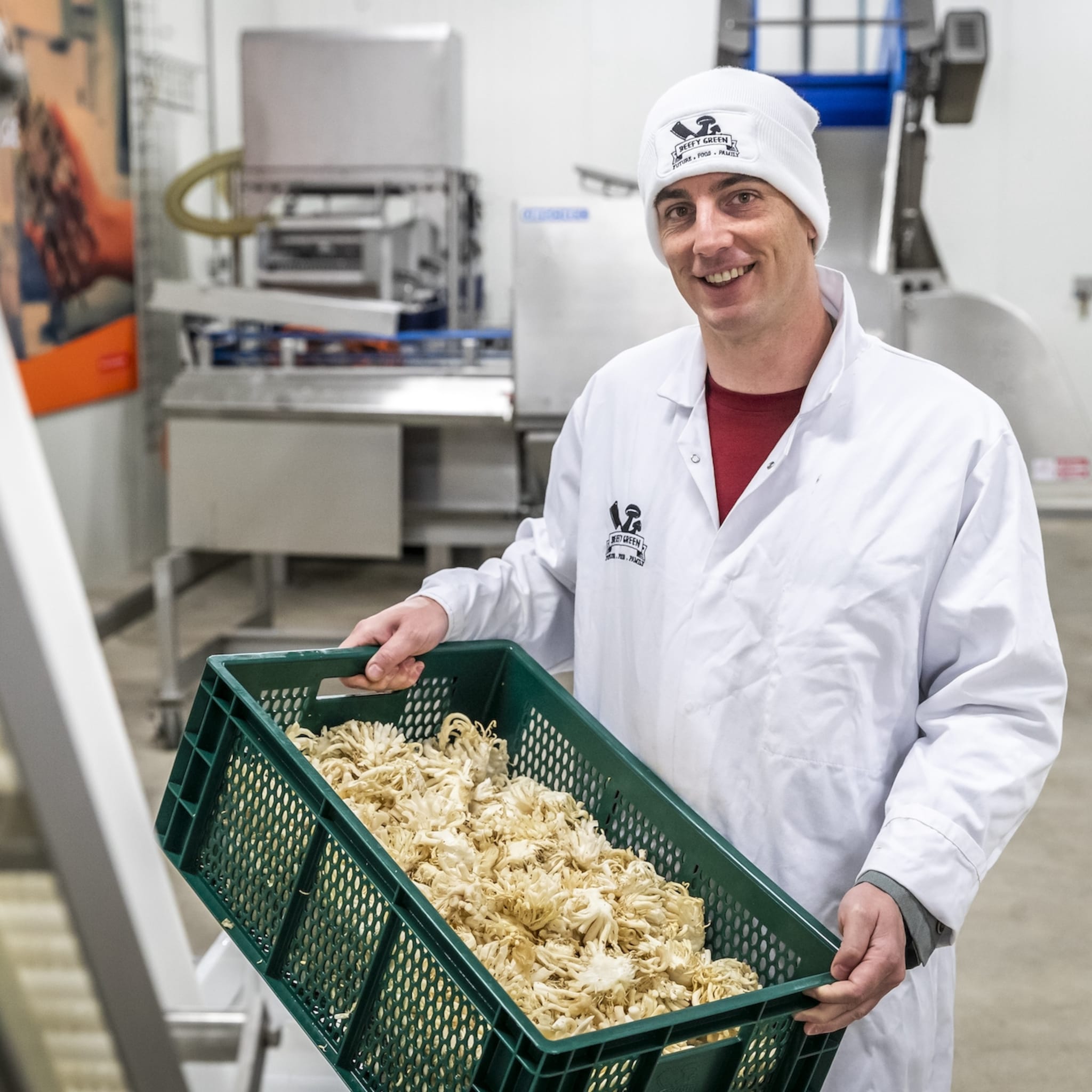 helmonds bedrijf in de prijzen met steeltjes van oesterzwam als smakelijke vleesvervanger