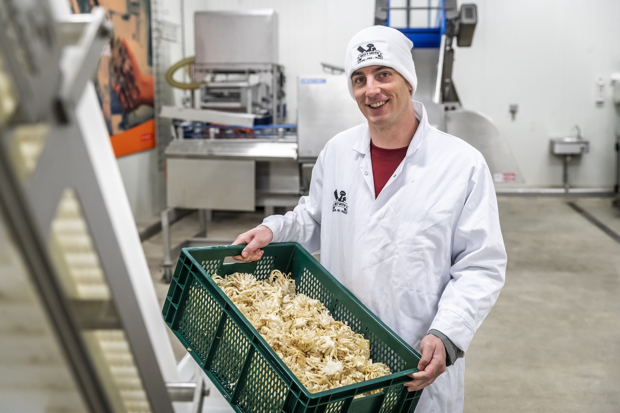 Frank Nouwens van BeefyGreen met een krat 'voetjes' van oesterzwammen. Foto: Sem Wijnhoven/DCI Media