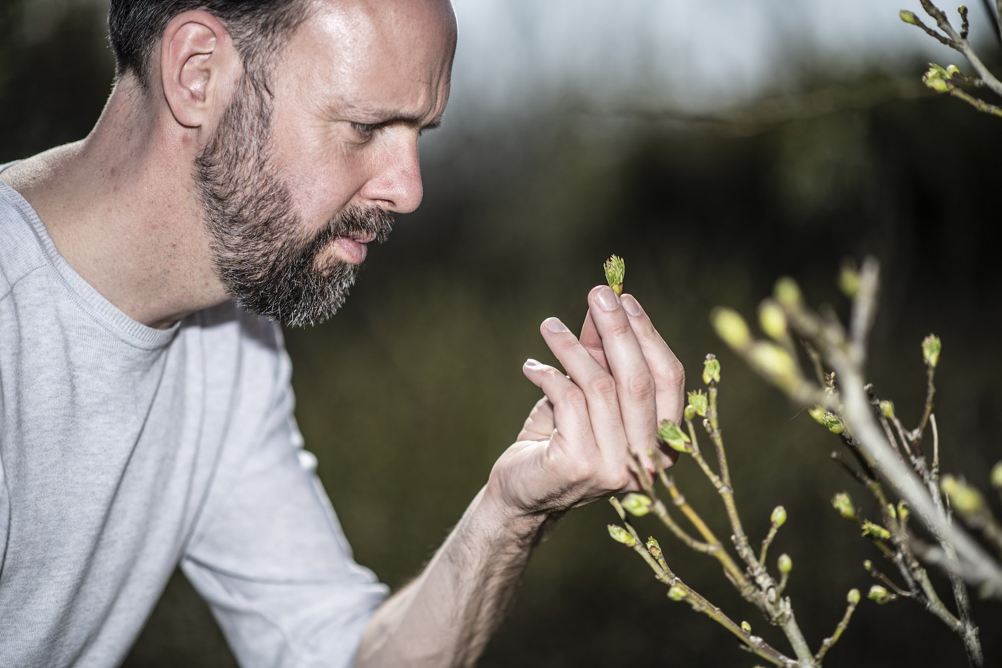 Emile van der Staak haalt veel van producten uit een voedselbos in Groesbeek. Foto: Paul Rapp