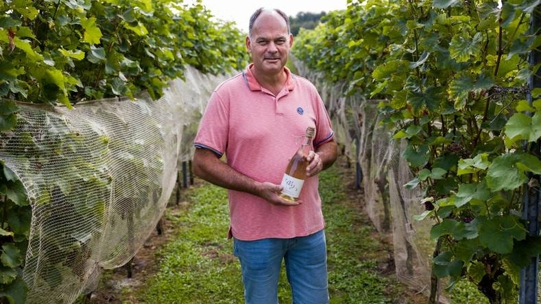 Paul Bosse, de eigenaar van wijngaard Domaine Brabantse Wal in Ossendrecht. Foto: Arie Kievit