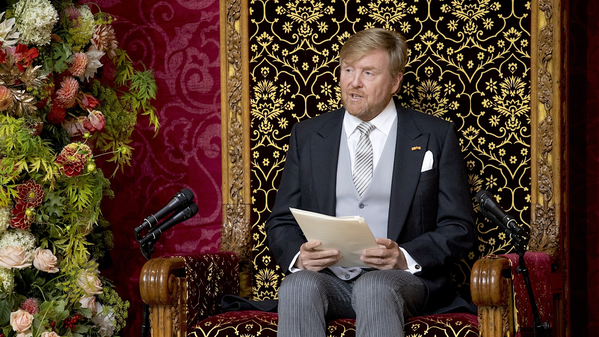Koning Willem-Alexander leest de troonrede voor. Foto: ANP.
