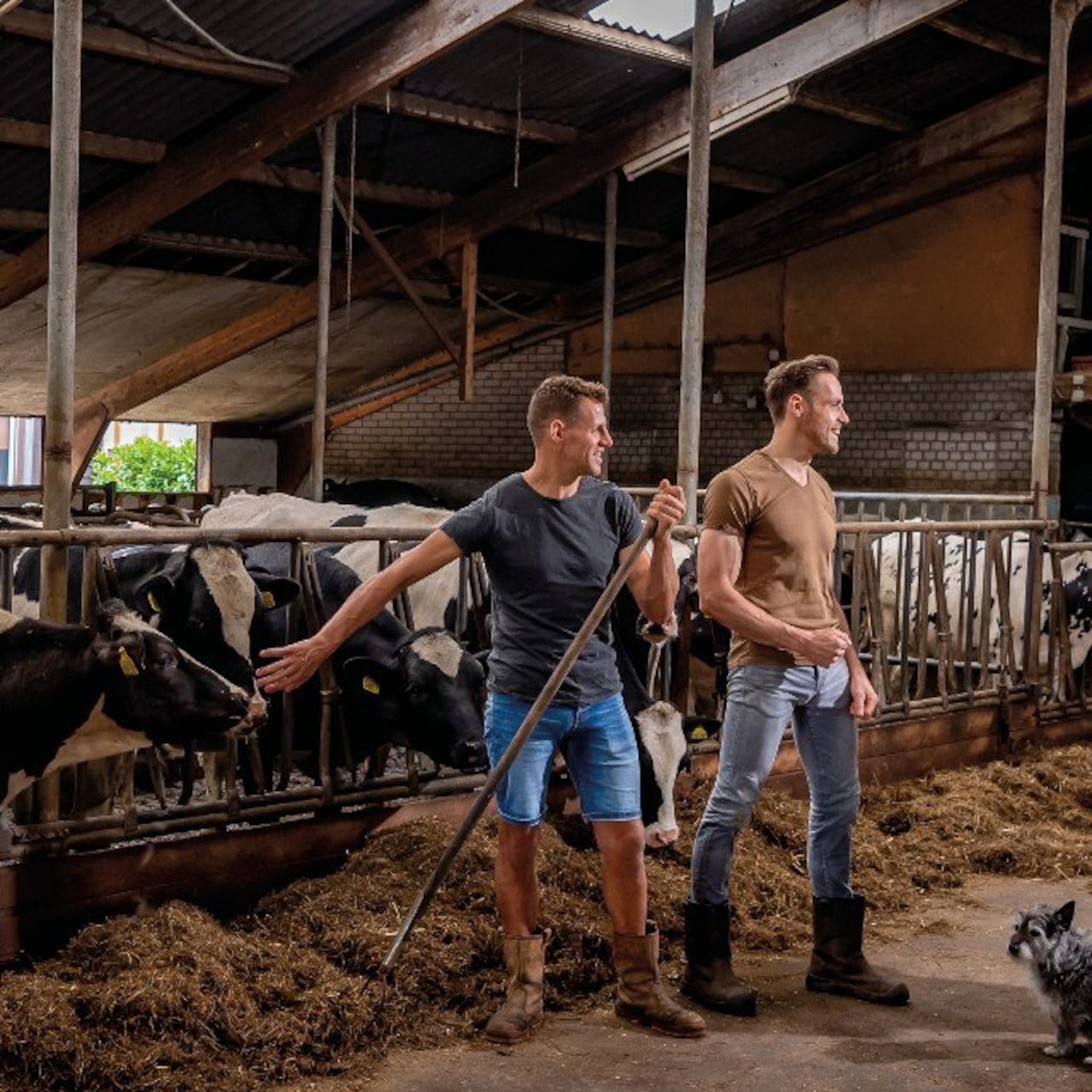 letterlijk en figuurlijk moesten we plafonds doorbreken
