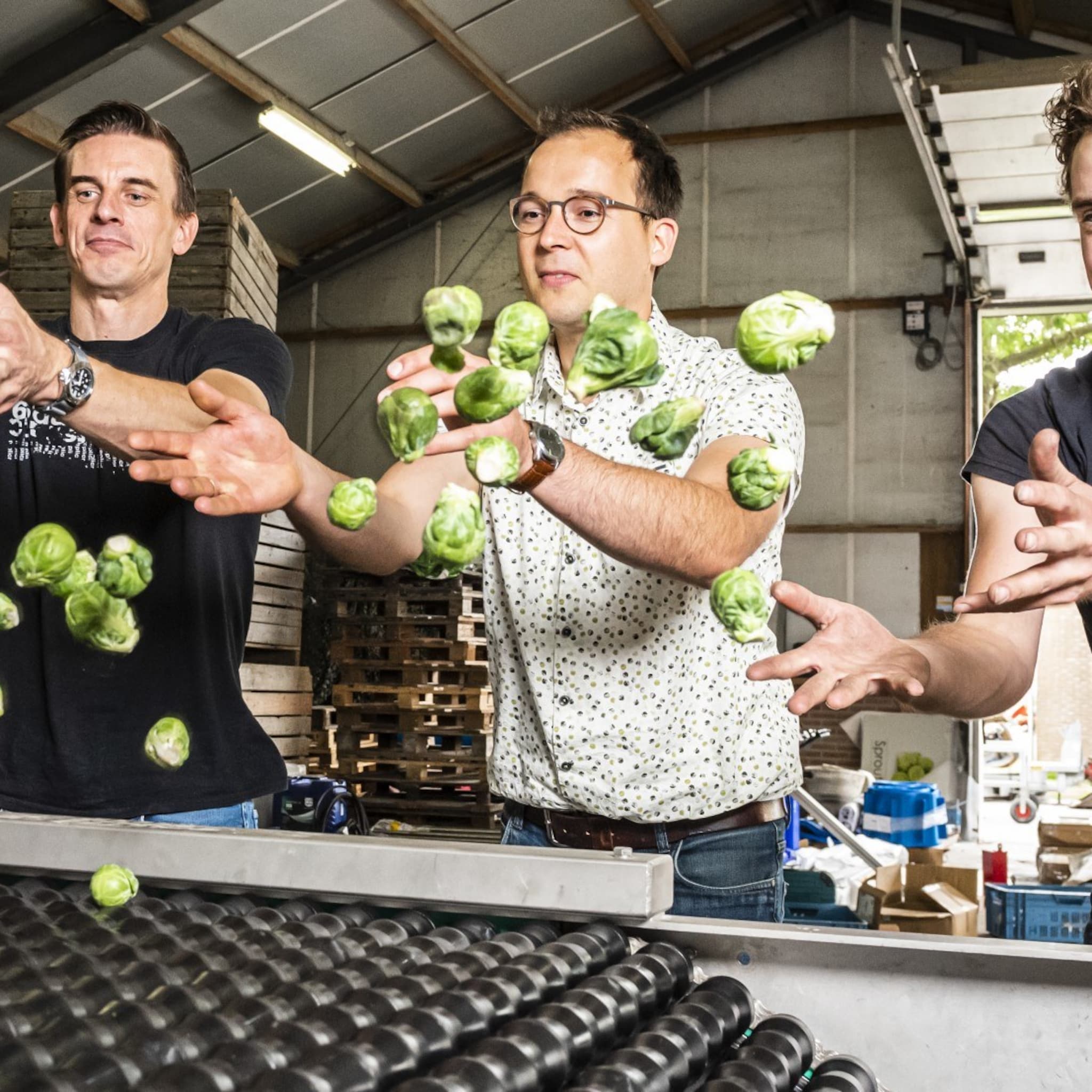 spruitjes van polen tot schotland ondernemer gaat met sproutcam succesvol de grens over