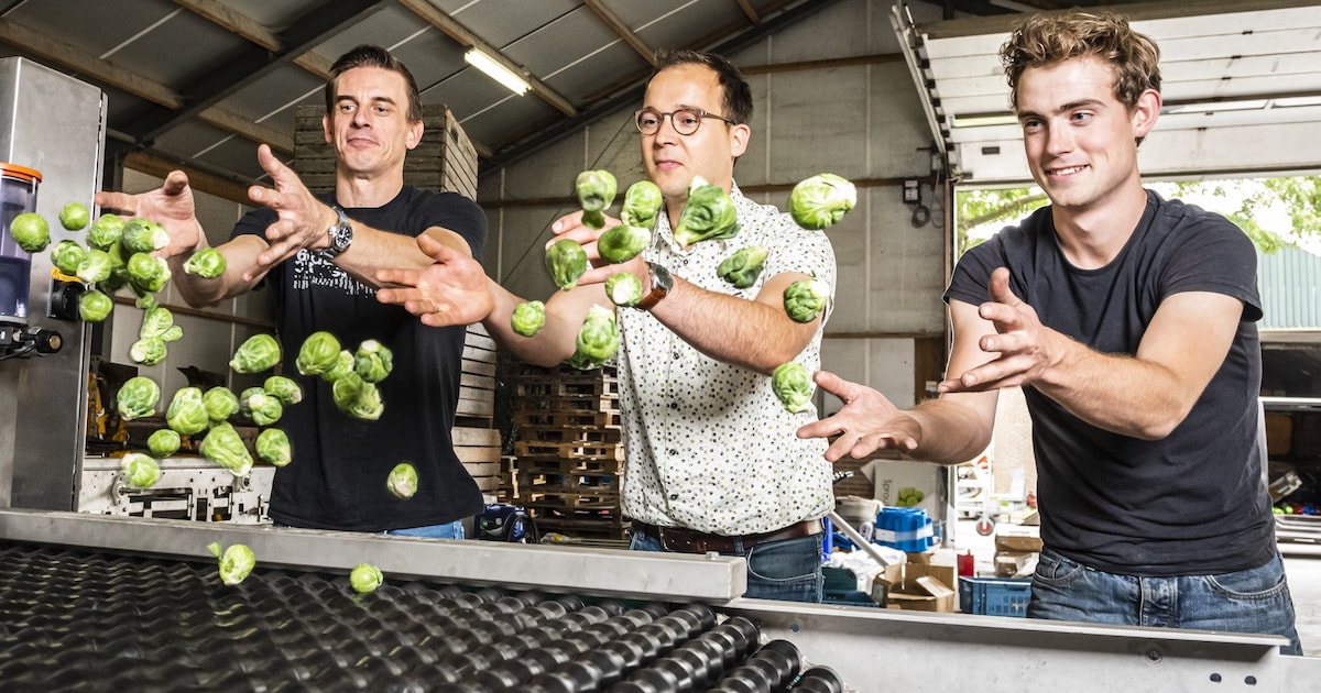 Spruitjes van Polen tot Schotland: ondernemer gaat met SproutCam…