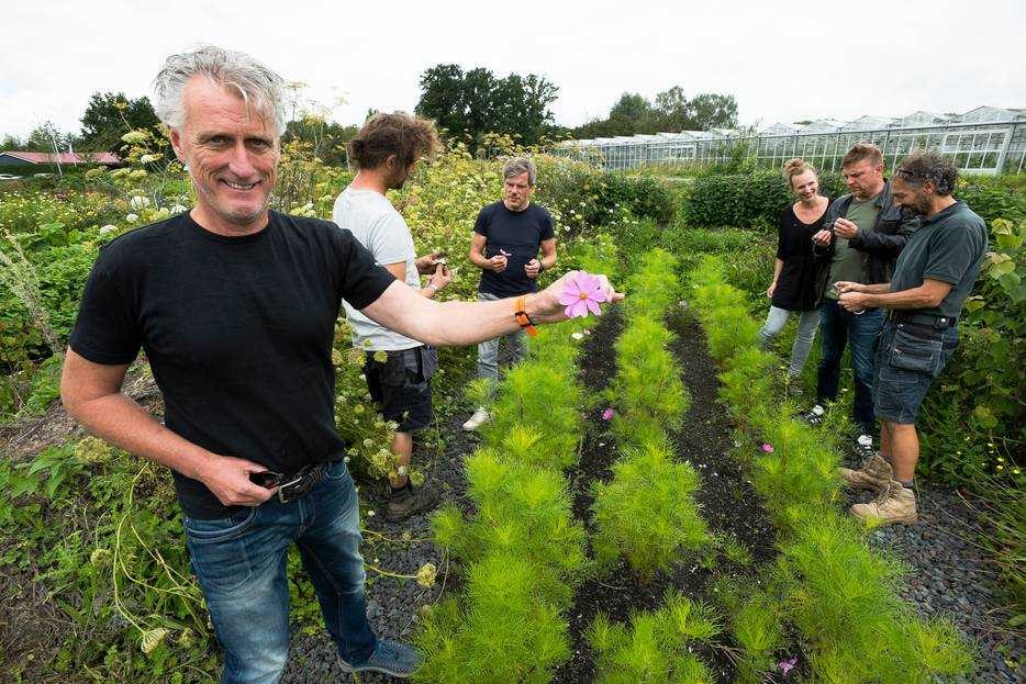 Initiatiefnemer Rob Geerlings laat een van de vele eetbare bloemen zien. Foto's: AD/Marnix Schmidt.