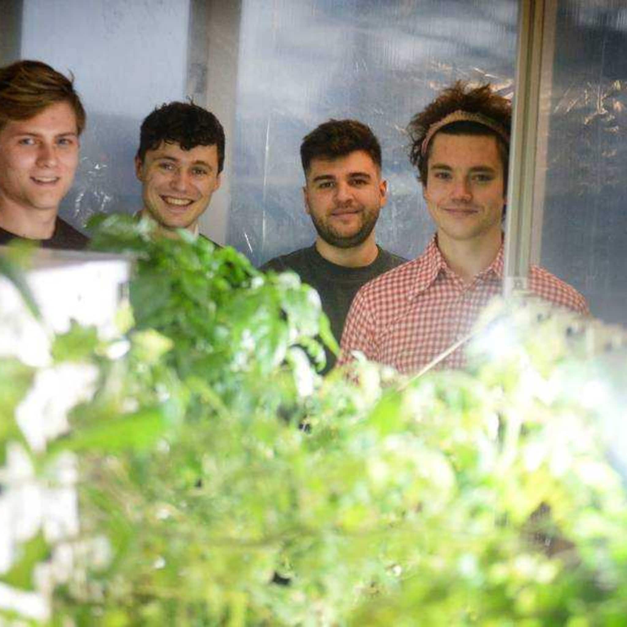 idee goed uitvoering ook strategie niet toch doorstart startup eden met groentekas aan huis