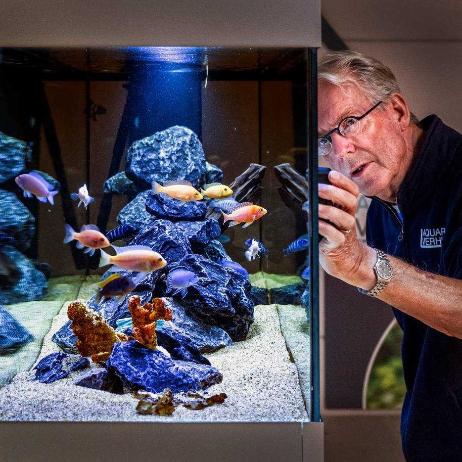 Vader Herman Rood helpt zijn zoon als adviseur en bij de klantenwerving. Foto: info@raymondrutting.com
