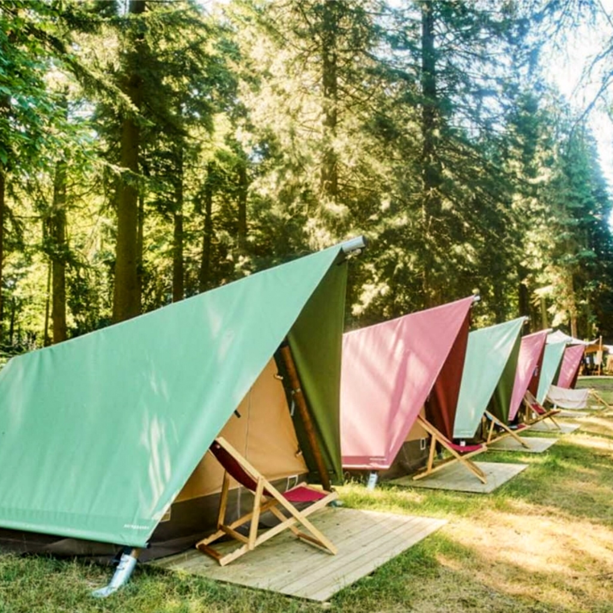 evenementenbranche woedend over camping bij f1 circuit meten met twee maten