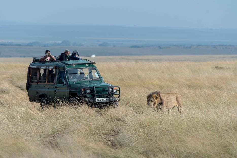 Verrereisspecialisten hebben het corona zwaar. Foto: LightRocket (Getty Images)