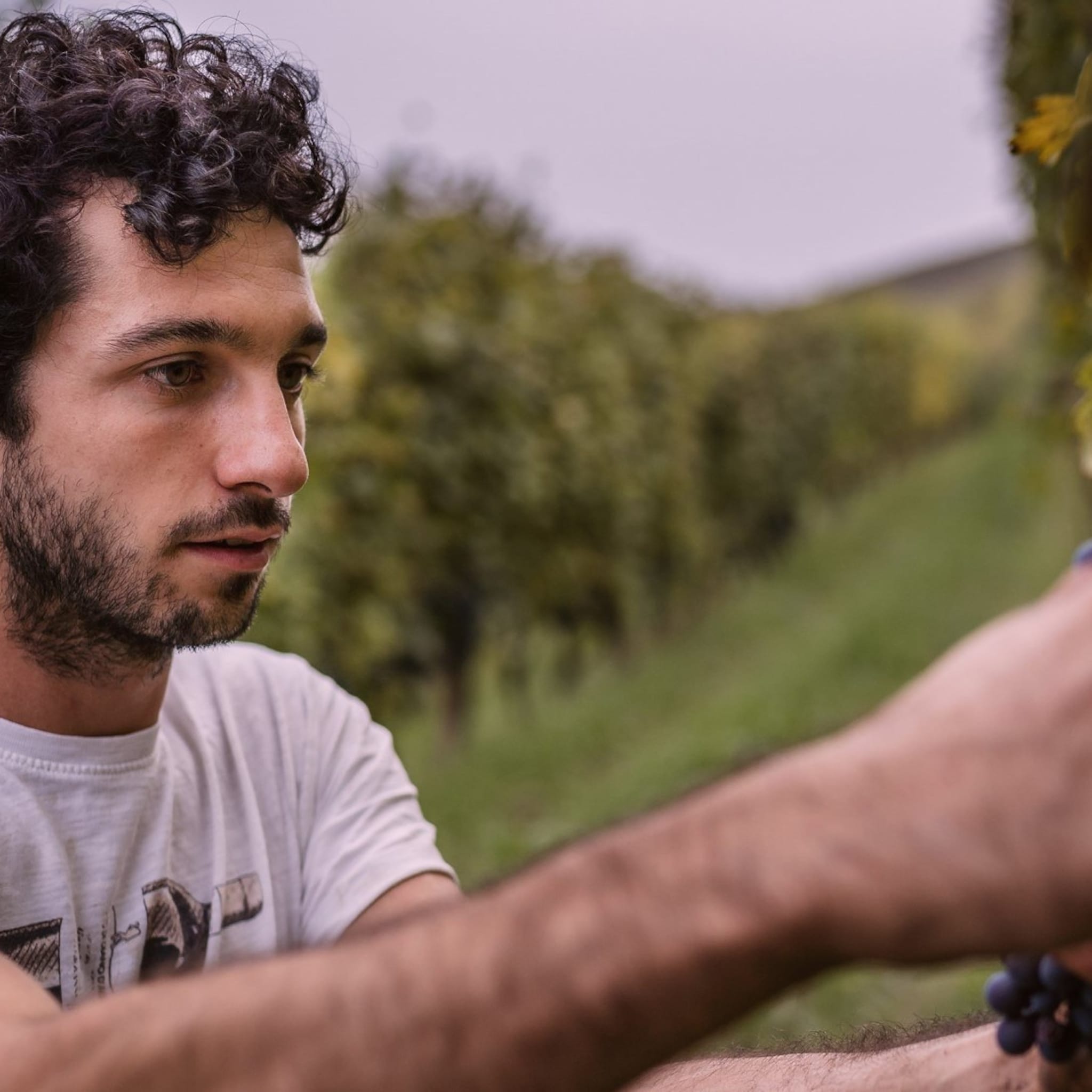 kleine italiaanse wijnboeren leveren via onwine persoonlijk aan de nederlandse consument