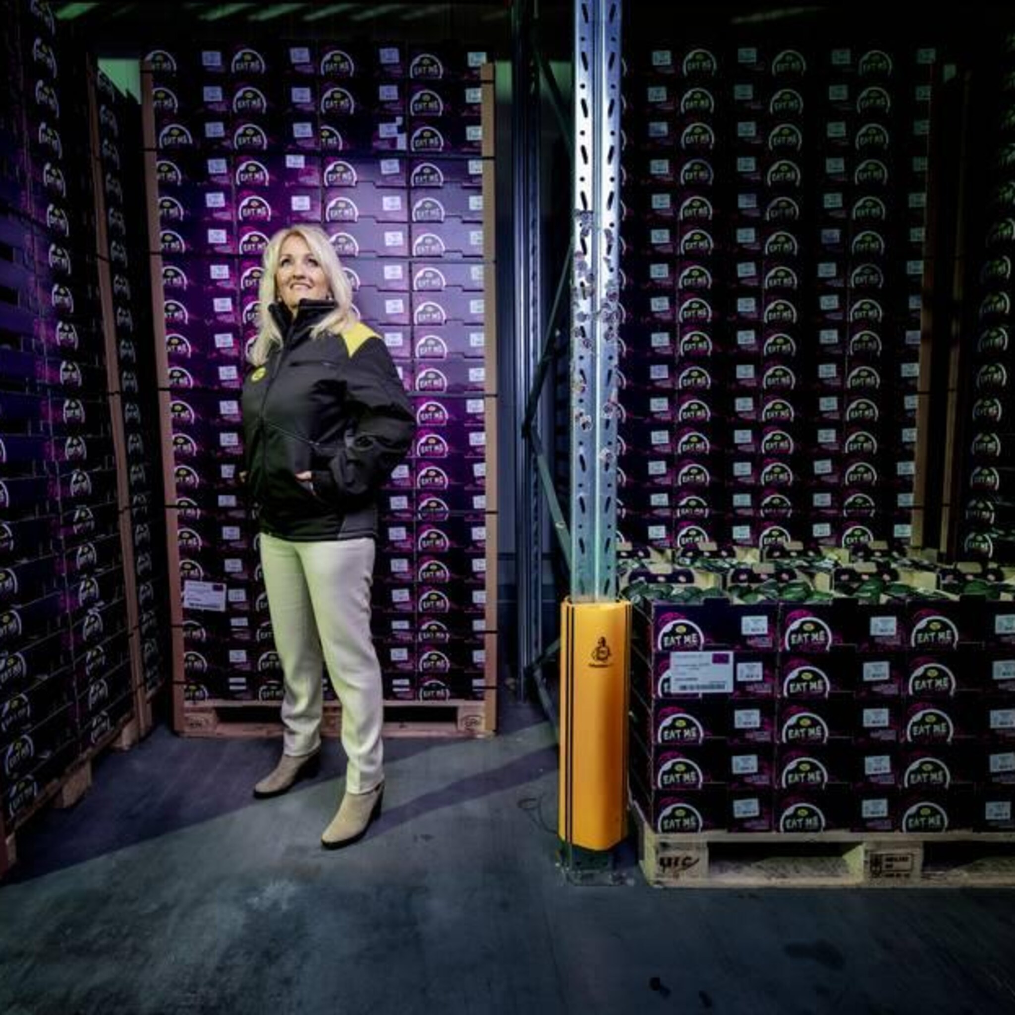 shawn harris dragons den maakte van nederland een roemrucht avocadoland
