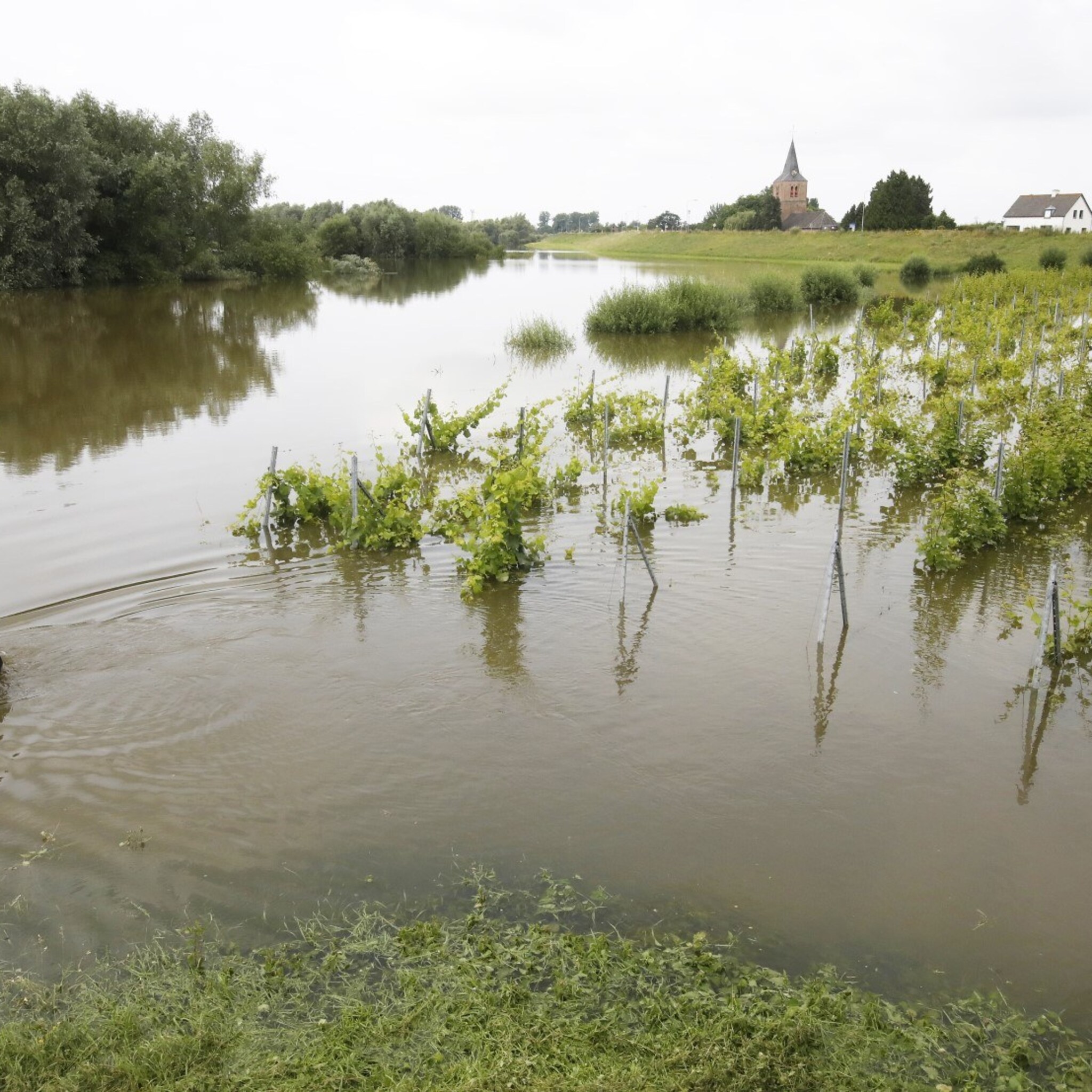 watersnoodramp limburg het waterpeil daalt maar nu