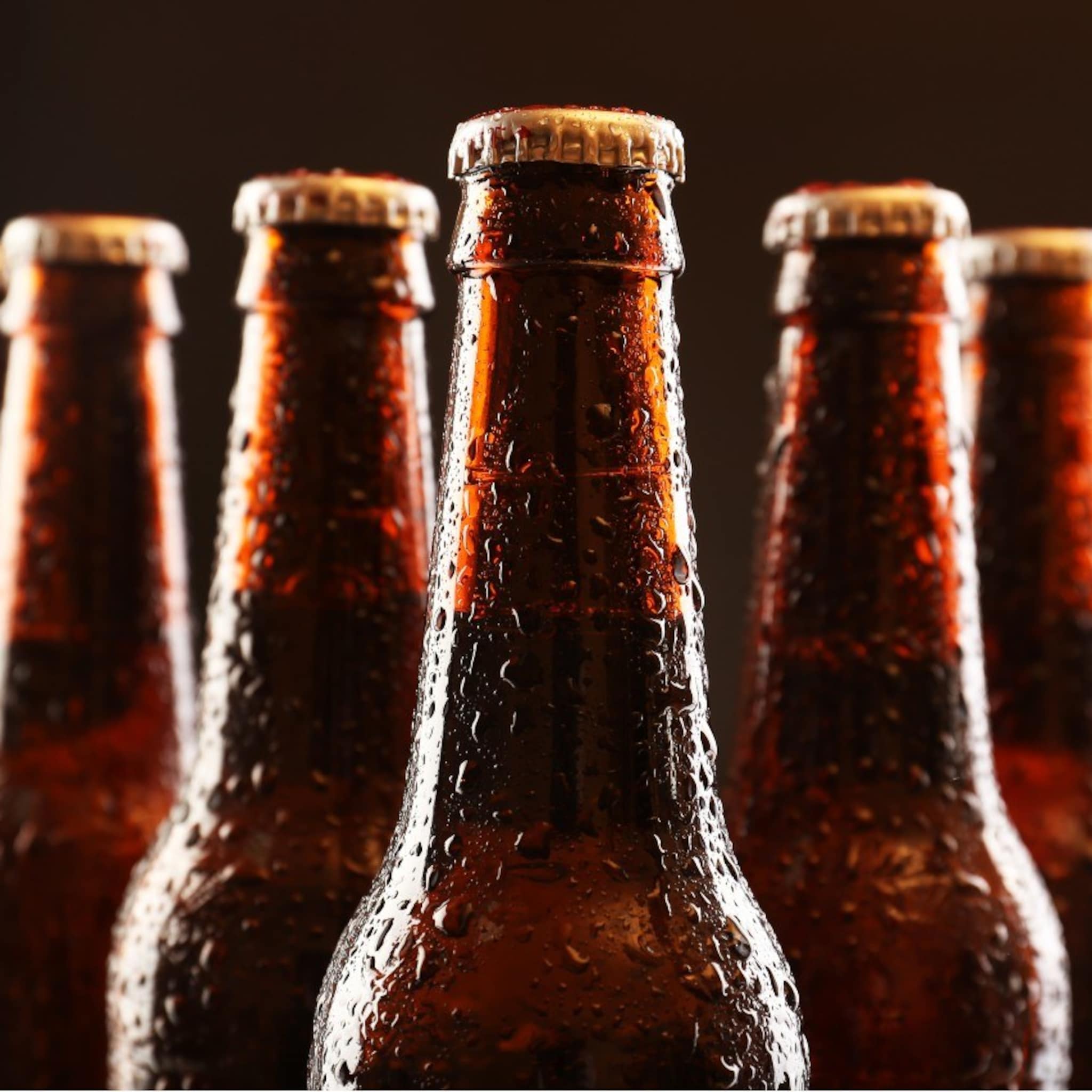 bruine nederlandse bierflesje wint europese recyclingprijs