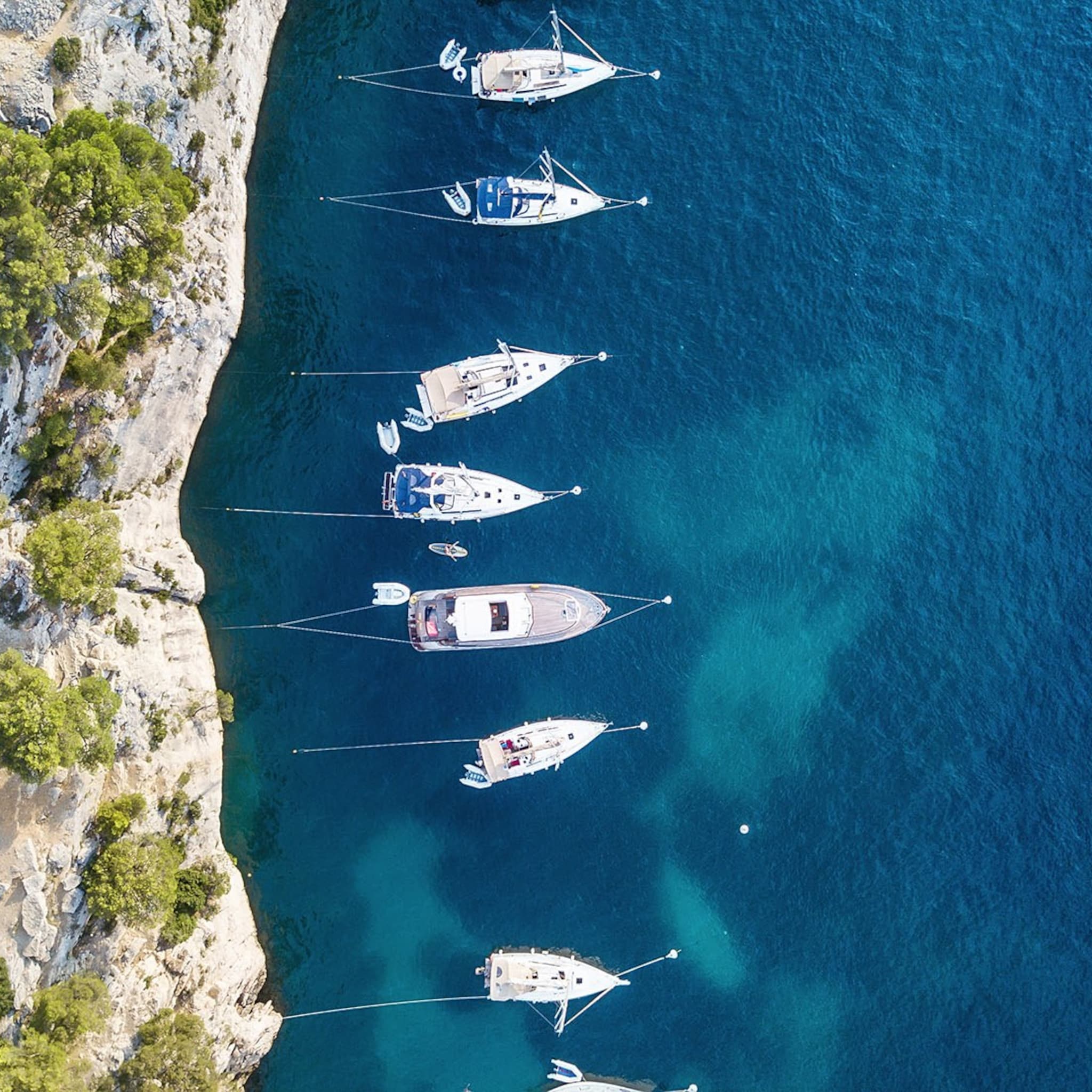 liaison op het water samenwerking tussen nederlandse barqo en franse samboat