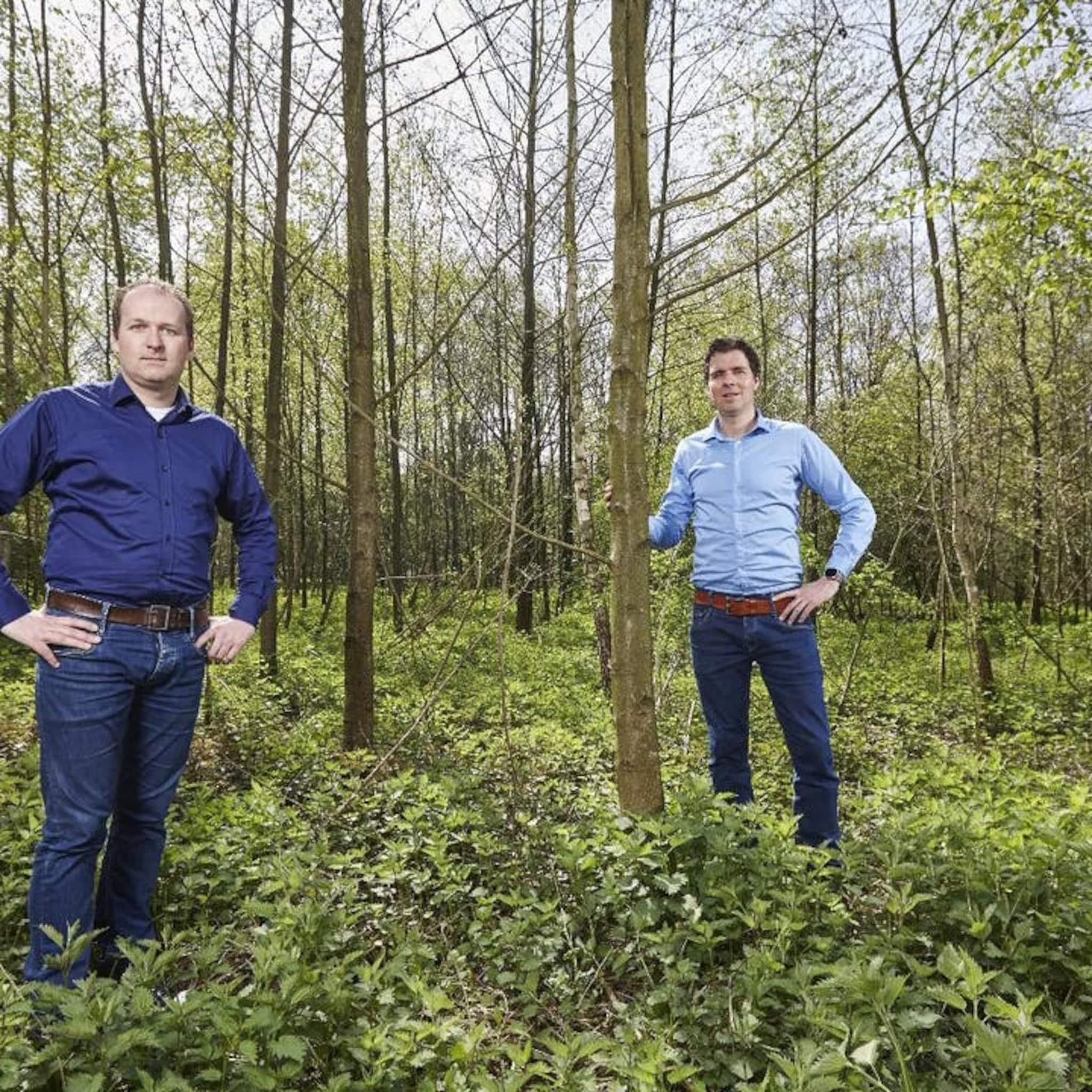 ikea pwc deloitte corporates staan in rij voor draadloze laadoplossingen zens