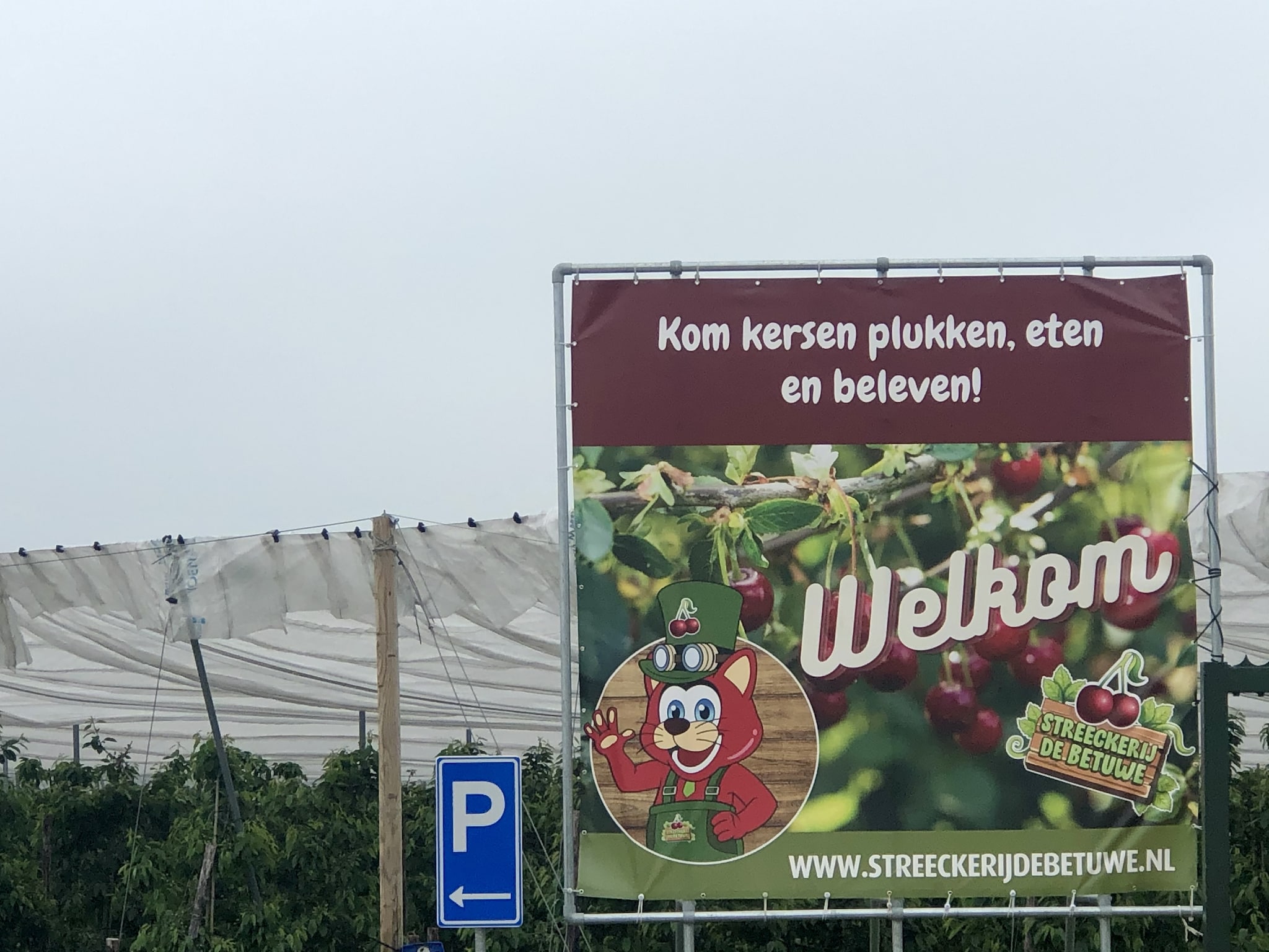 beeld deondernemer