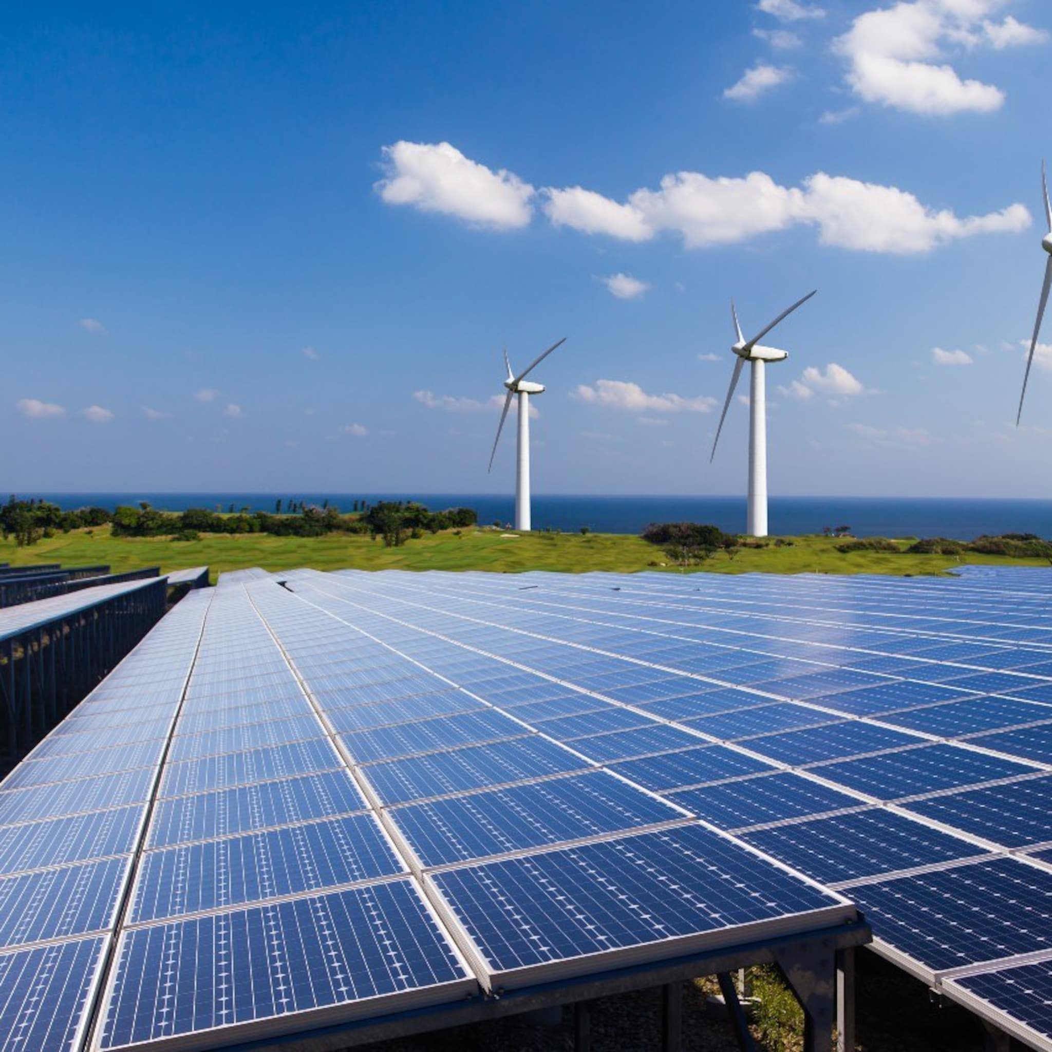 windunie directeur posthumus over duurzame energie over vijf jaar is de knop om
