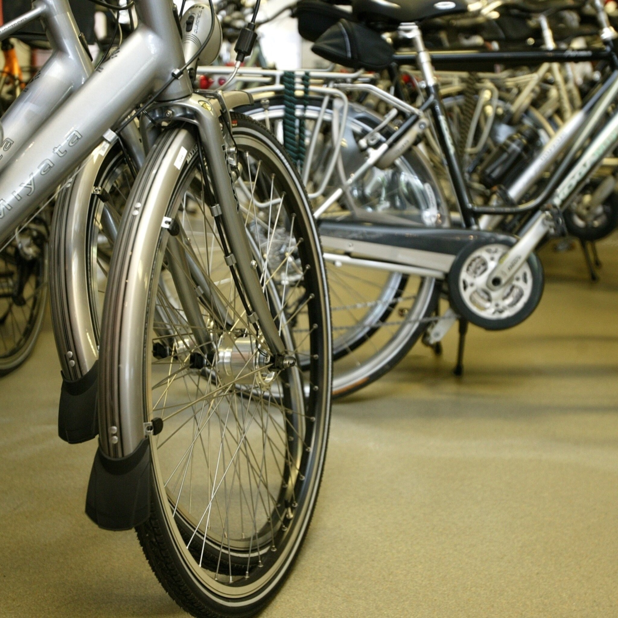fietsenwinkels schieten als paddenstoelen uit de grond