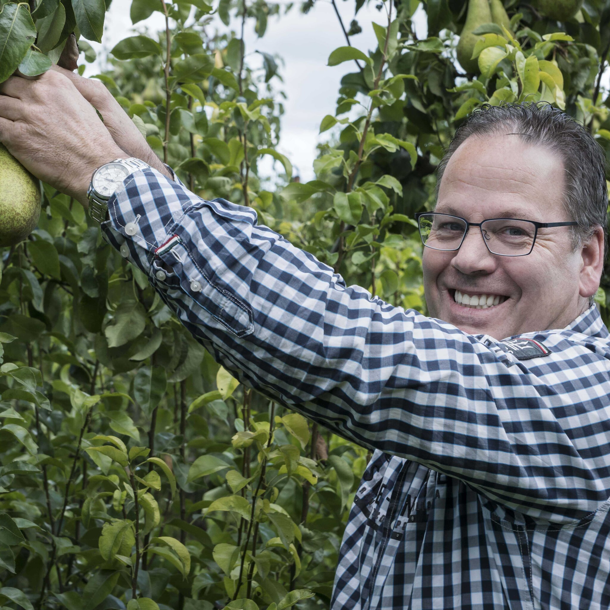 van snoepautomaat naar snoeptomaat hoe werkfruit aan populariteit wint