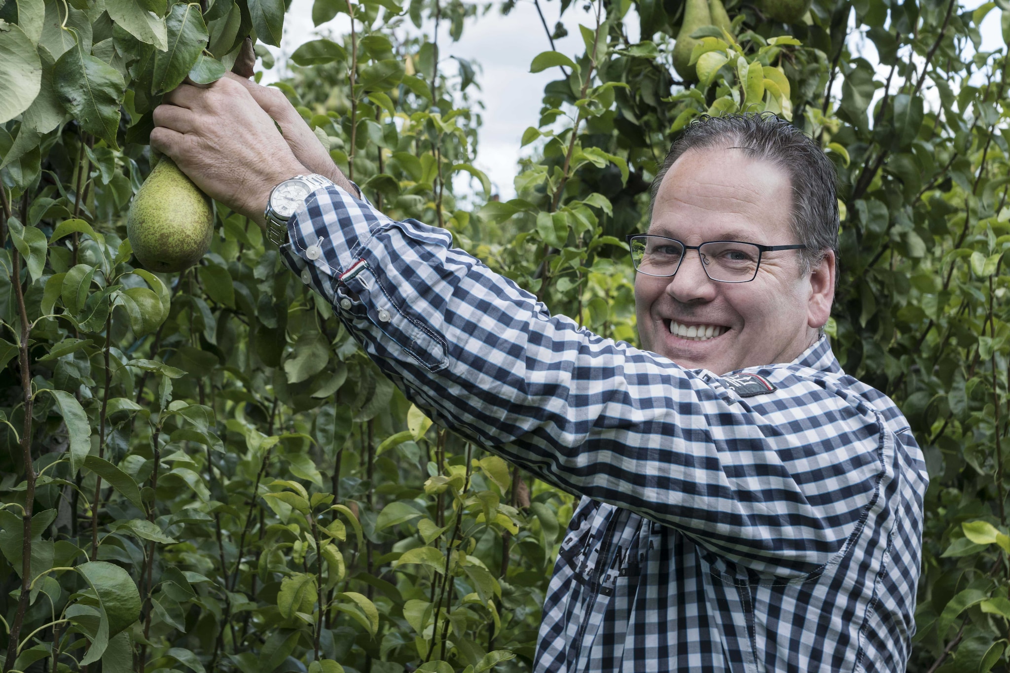 Het assortiment is uitgebreid, maar lokaal. Een deel teelt Van Randwijk zelf en een deel komt van zijn collega telers uit de buurt. Foto: Werkfruit