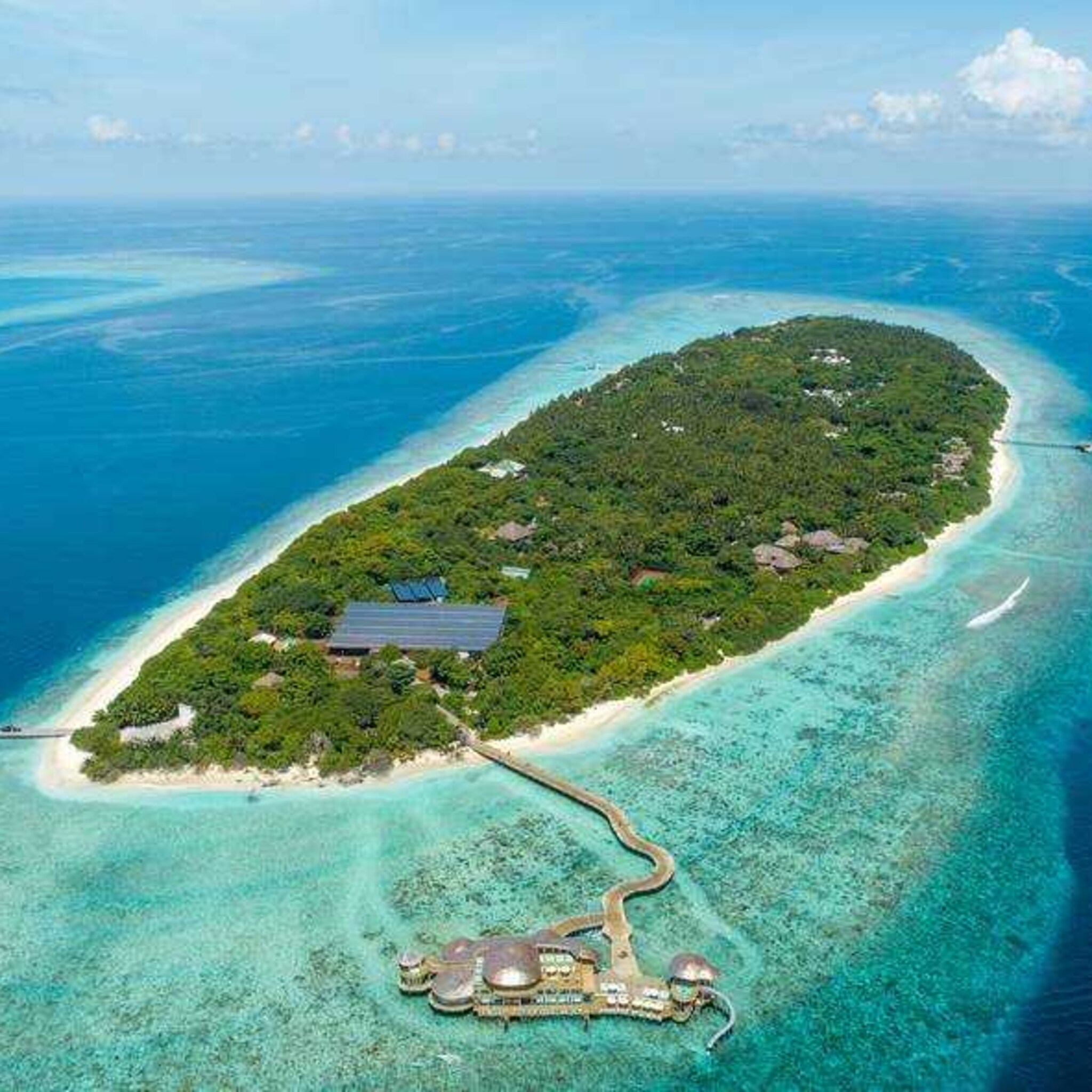 resorts over de wereld bellen bedrijf bart knols maak ook ons muggenvrij