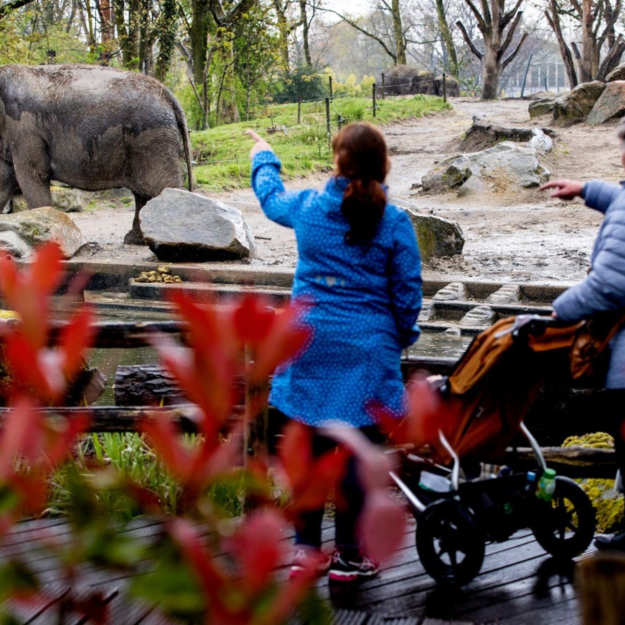 fnv recreatie geen voorstander testbewijzen dierentuinen en pretparken