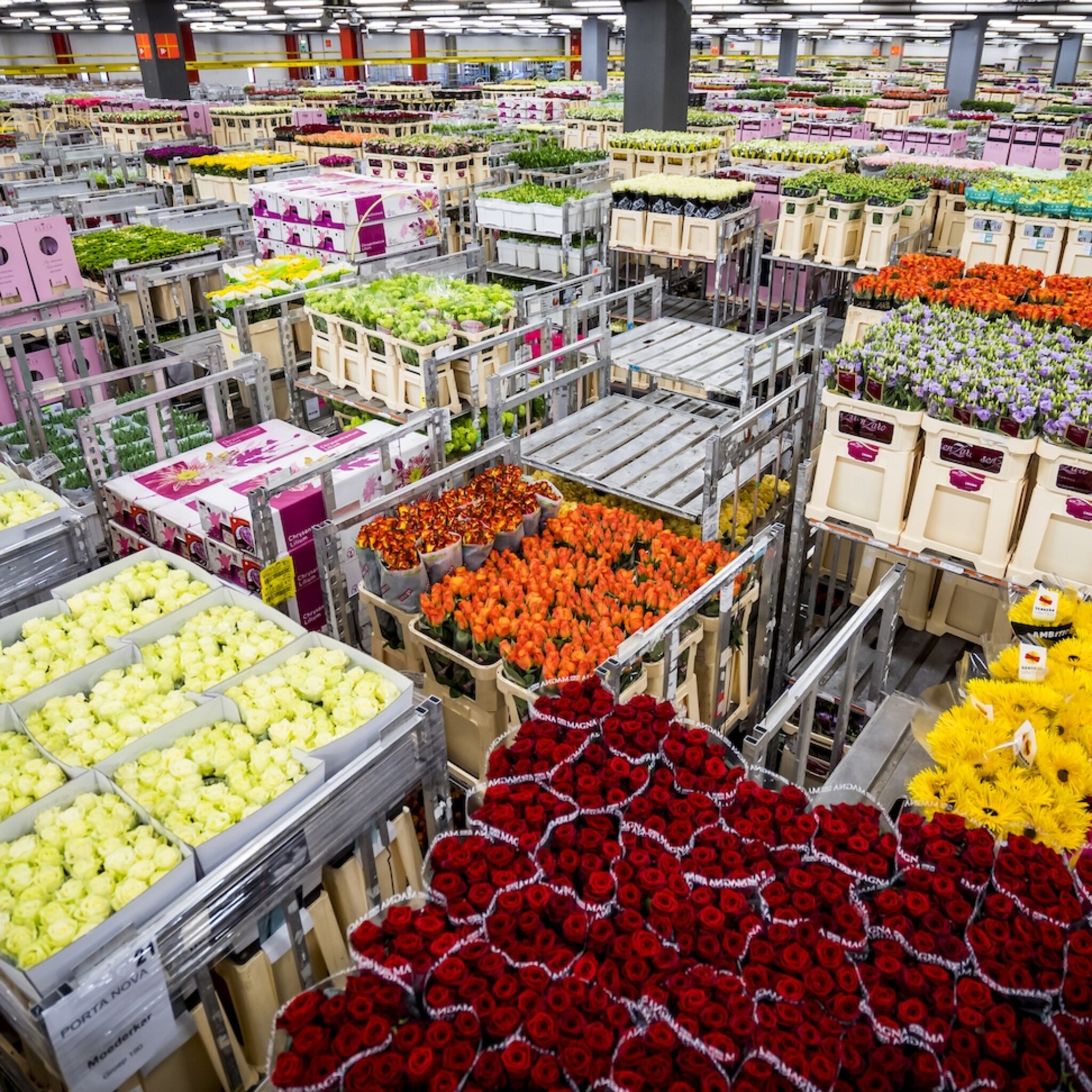moederdag fleurop verkocht vijf a zes keer zoveel als gebruikelijk