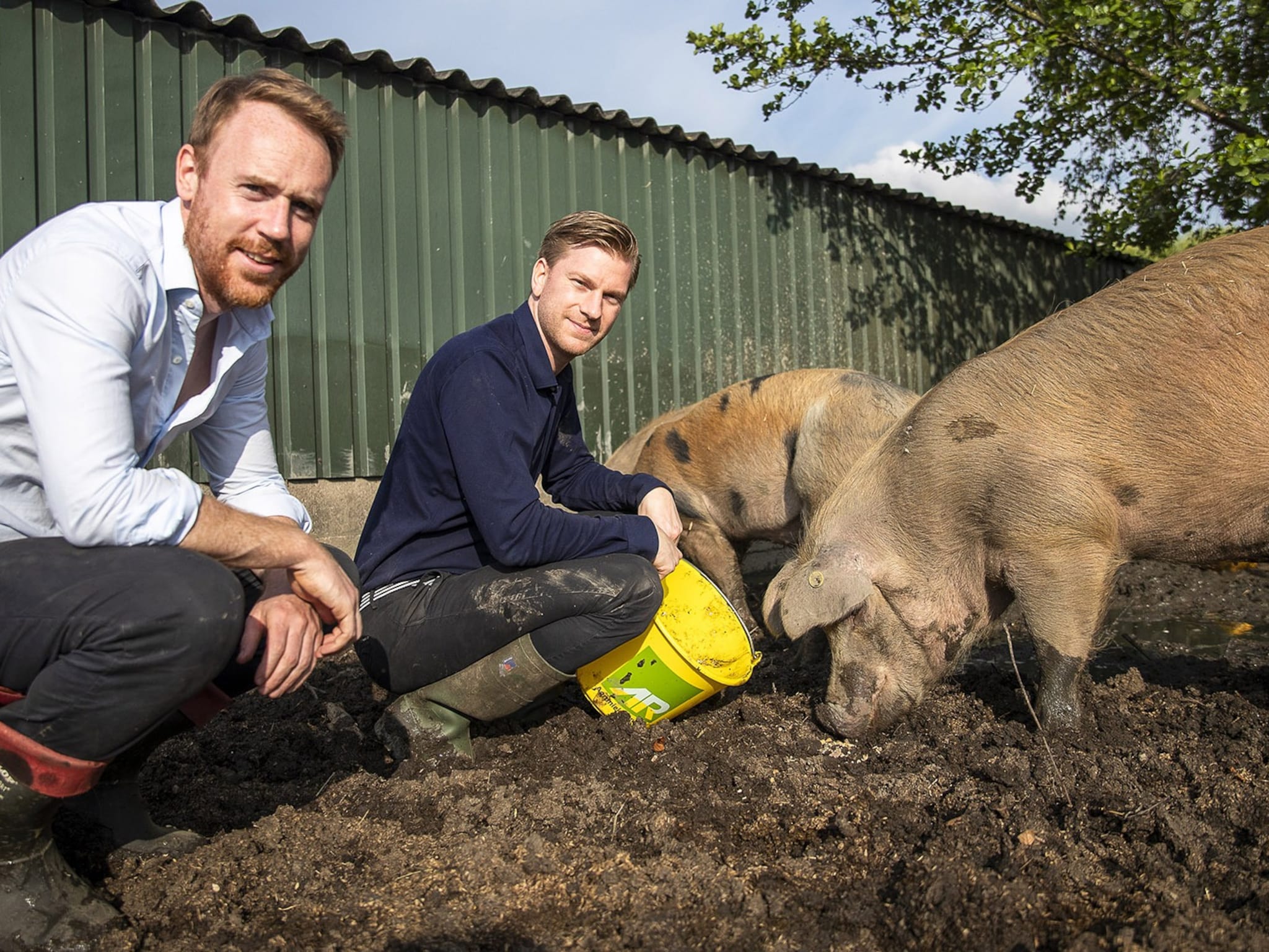 meatable failliet delftse kweekvleesstartup agronomics financiering