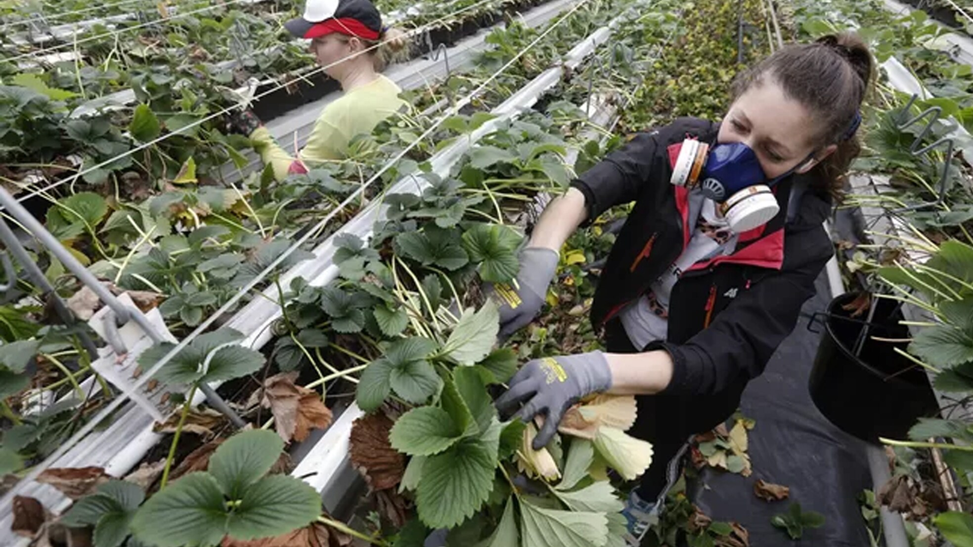 Foto ter illustratie. Bron: VidiPhoto