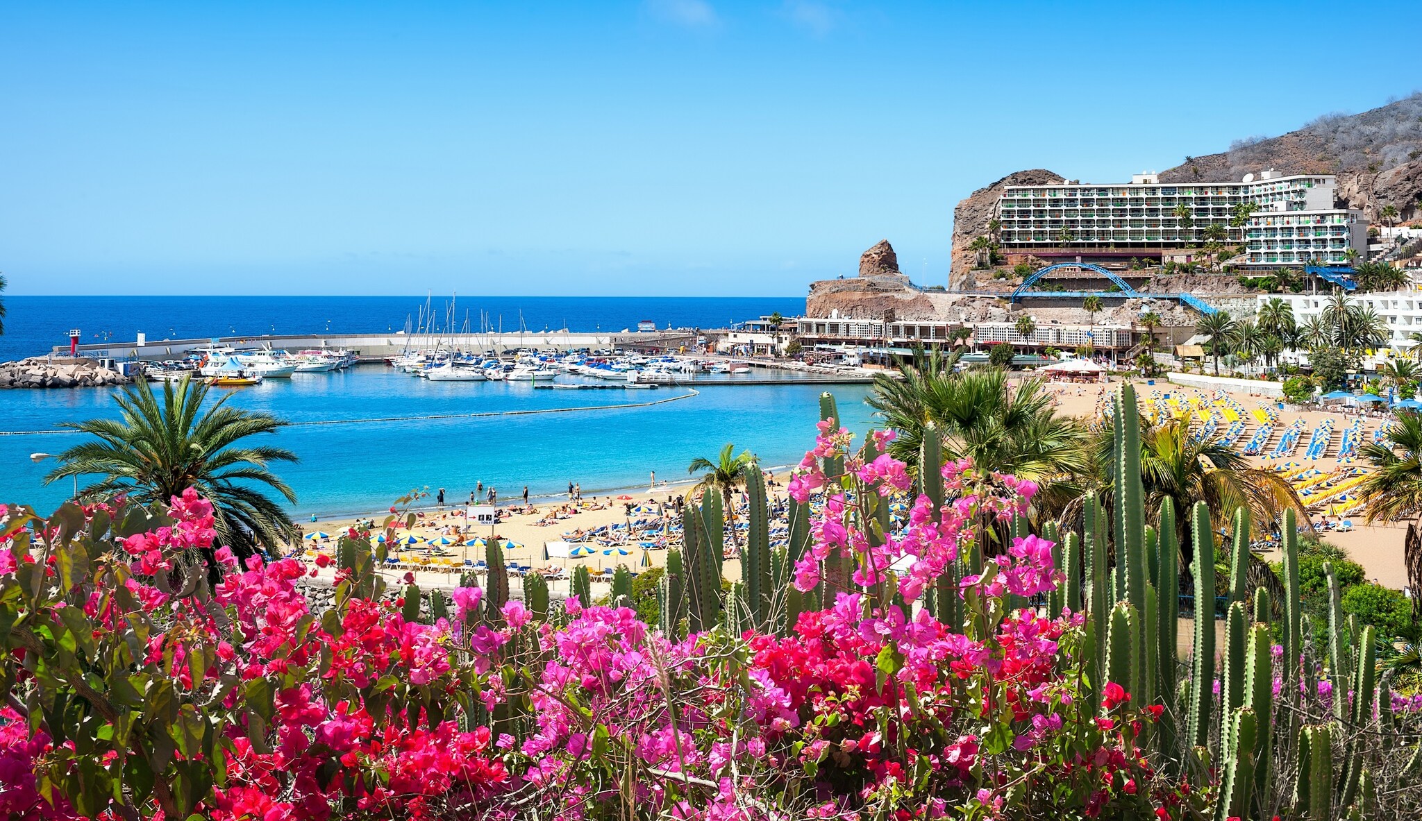 ,,Een mooie volgende stap naar hopelijk een zomer waarin er weer gereisd kan worden,'' zegt Arjan Kers, general manager van TUI Nederland over de proefreis naar Gran Canaria. Foto: Shutterstock