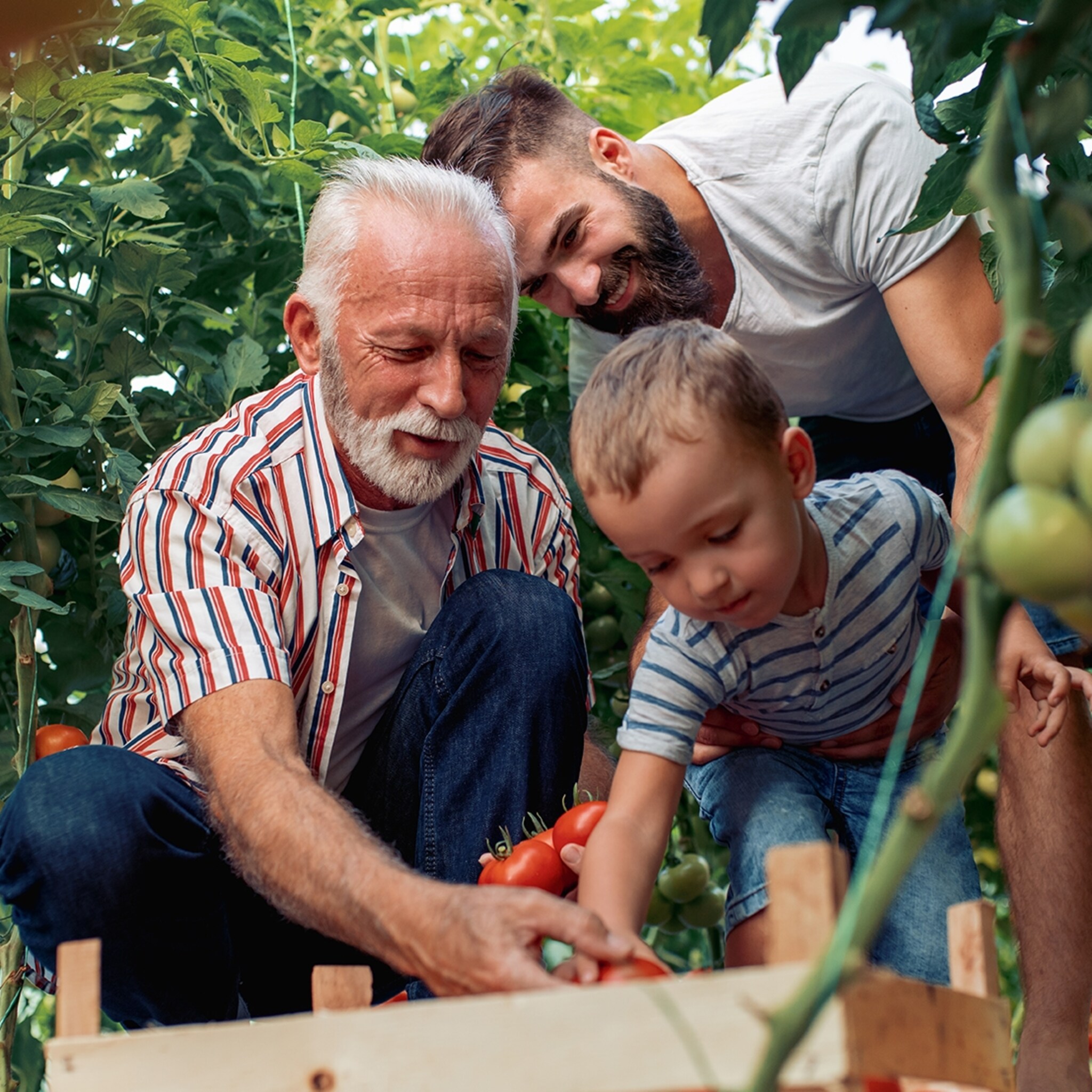 onderzoek toekomst familiebedrijven in gevaar bij andere belastingregels
