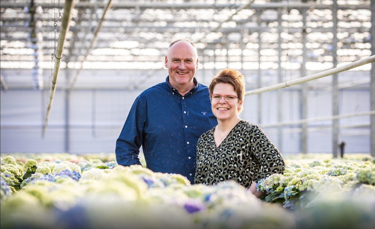 Kees Preesman en zijn vrouw Colinda tussen de bloeiende hortensia’s. Foto: Jeffrey Groeneweg/Qphoto