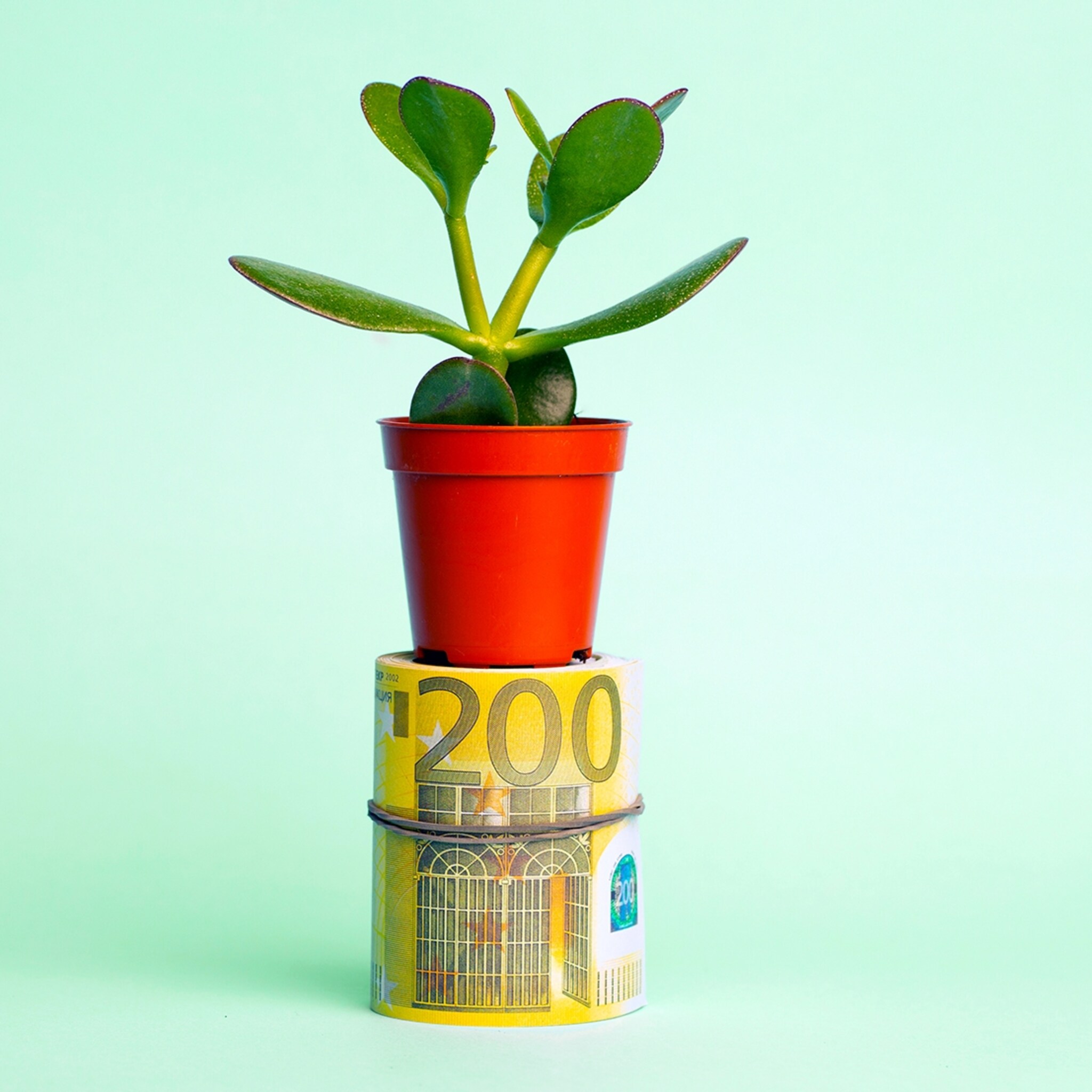 kabinet maakt 24 miljoen euro vrij voor startups