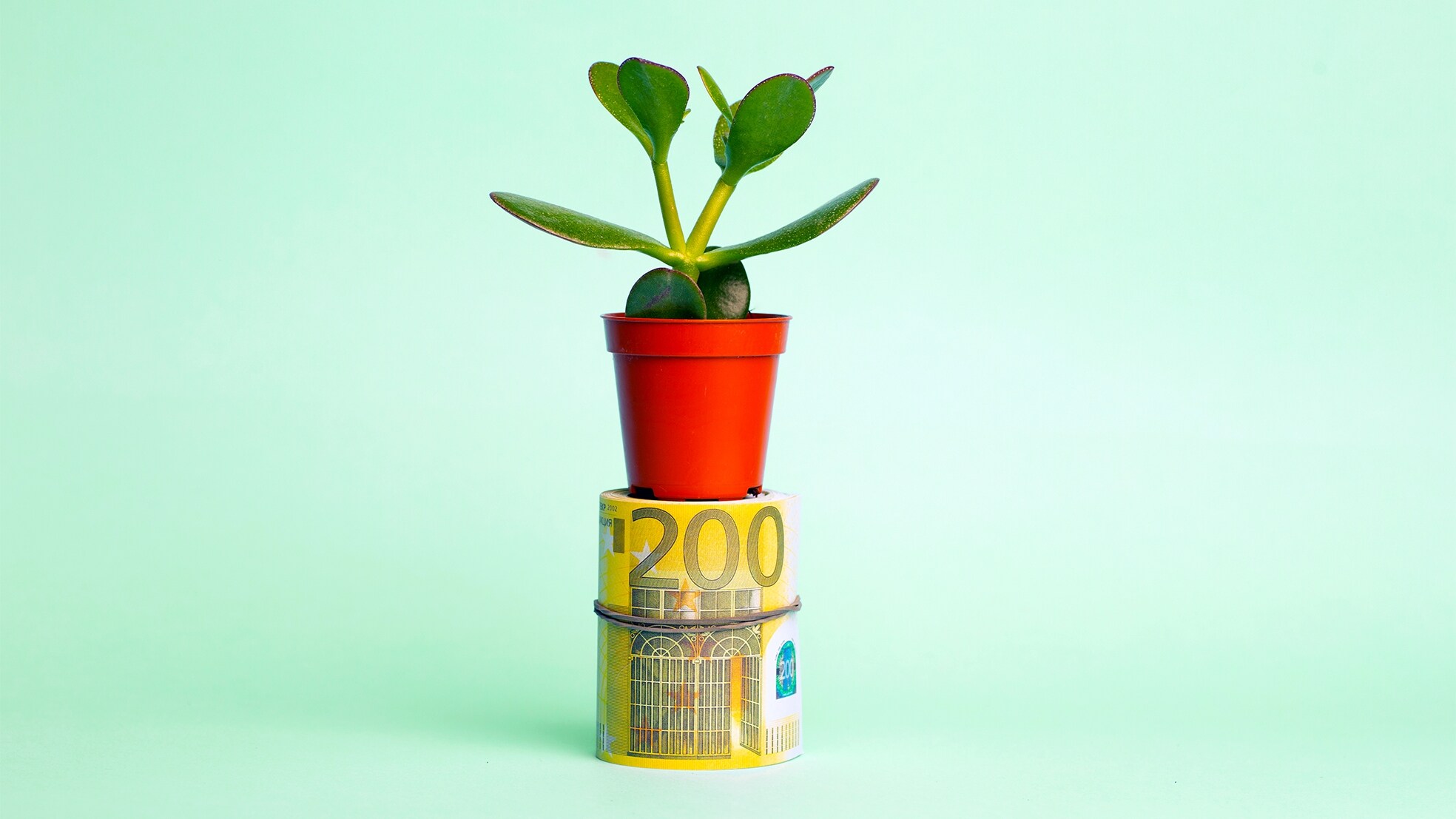 Foto: Shutterstock