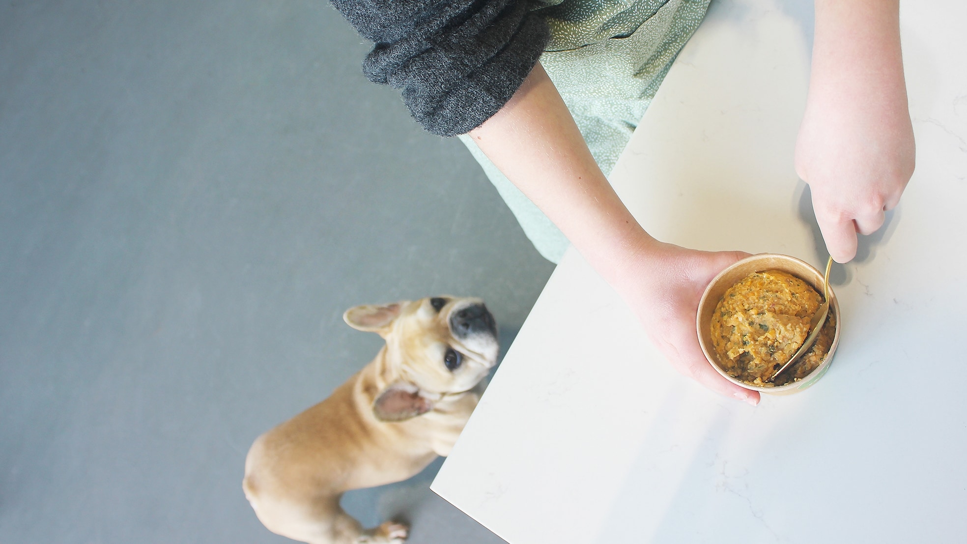 Uit onderzoek blijkt dat honden, net als mensen, baat hebben bij plantaardige voeding. Foto's: Van Pom