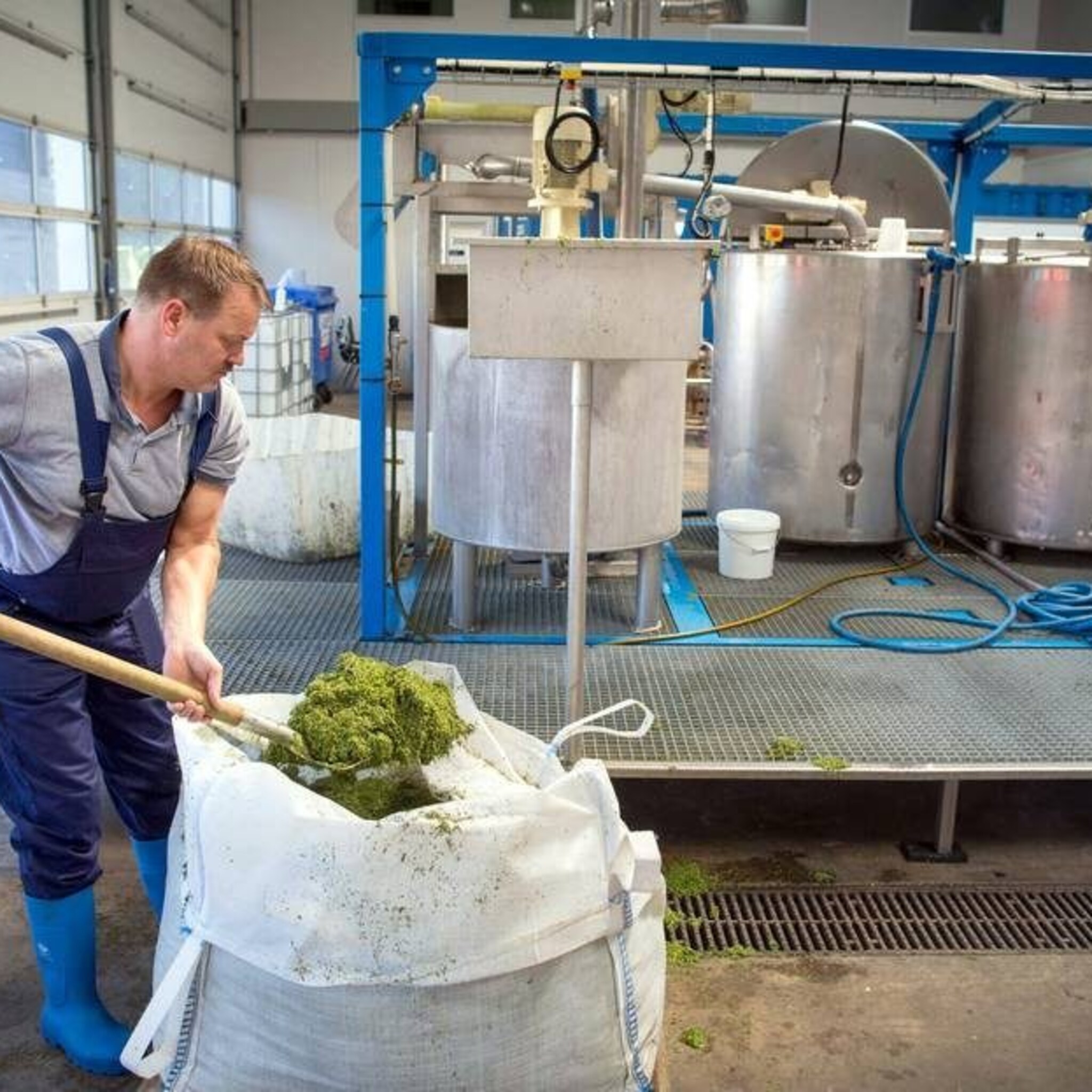 nederland is walhalla voor internationale vega industrie