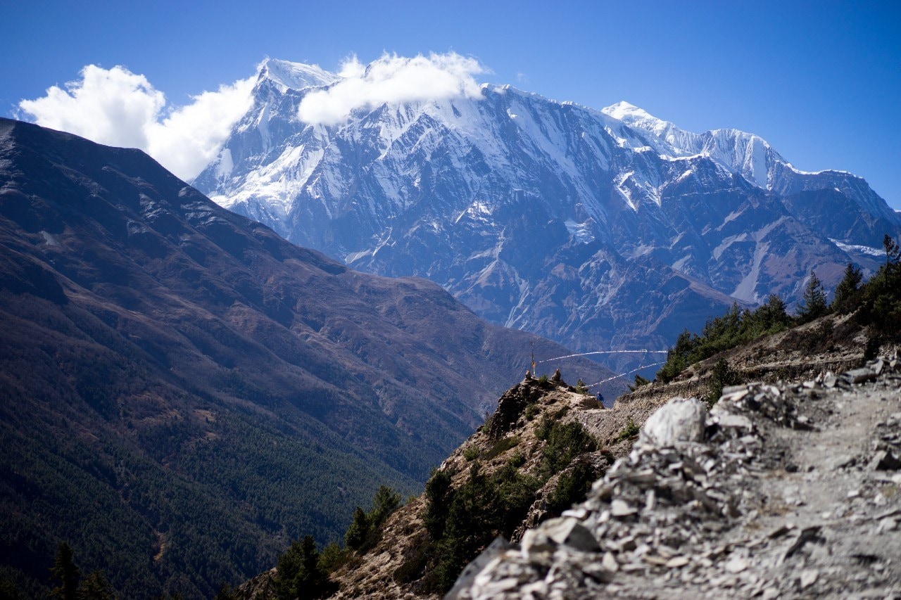 Ondernemers Fons en Jacqui Burger exporteerden naar de bergen van Nepal geiten om van hun vacht kasjmierwol te maken. Foto: Unsplash