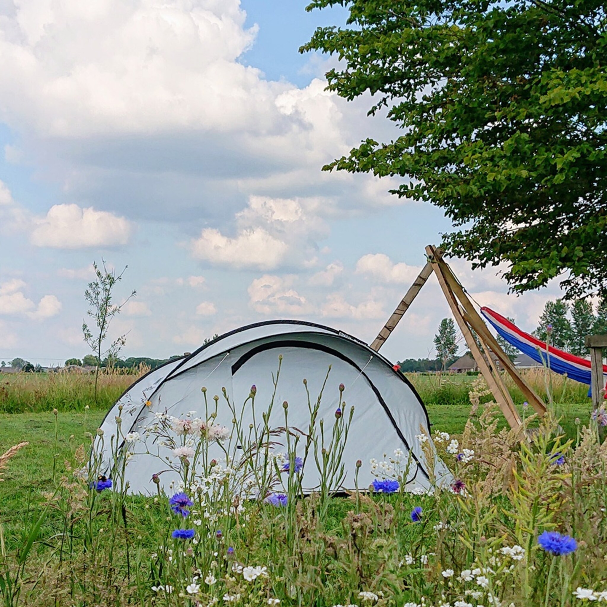 platform voor duurzame overnachting campspace haalt miljoen op