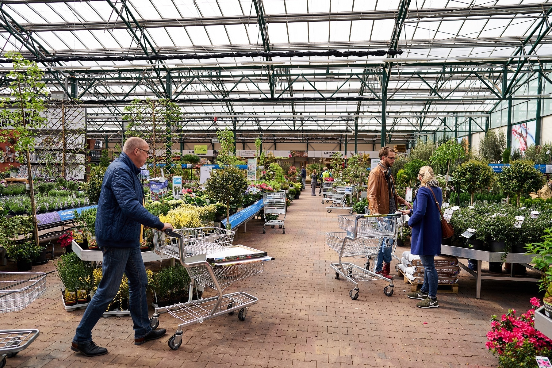 Op dit moment mogen tuincentra op hun buitenterreinen alleen nog bloemen verkopen. Foto: ANP