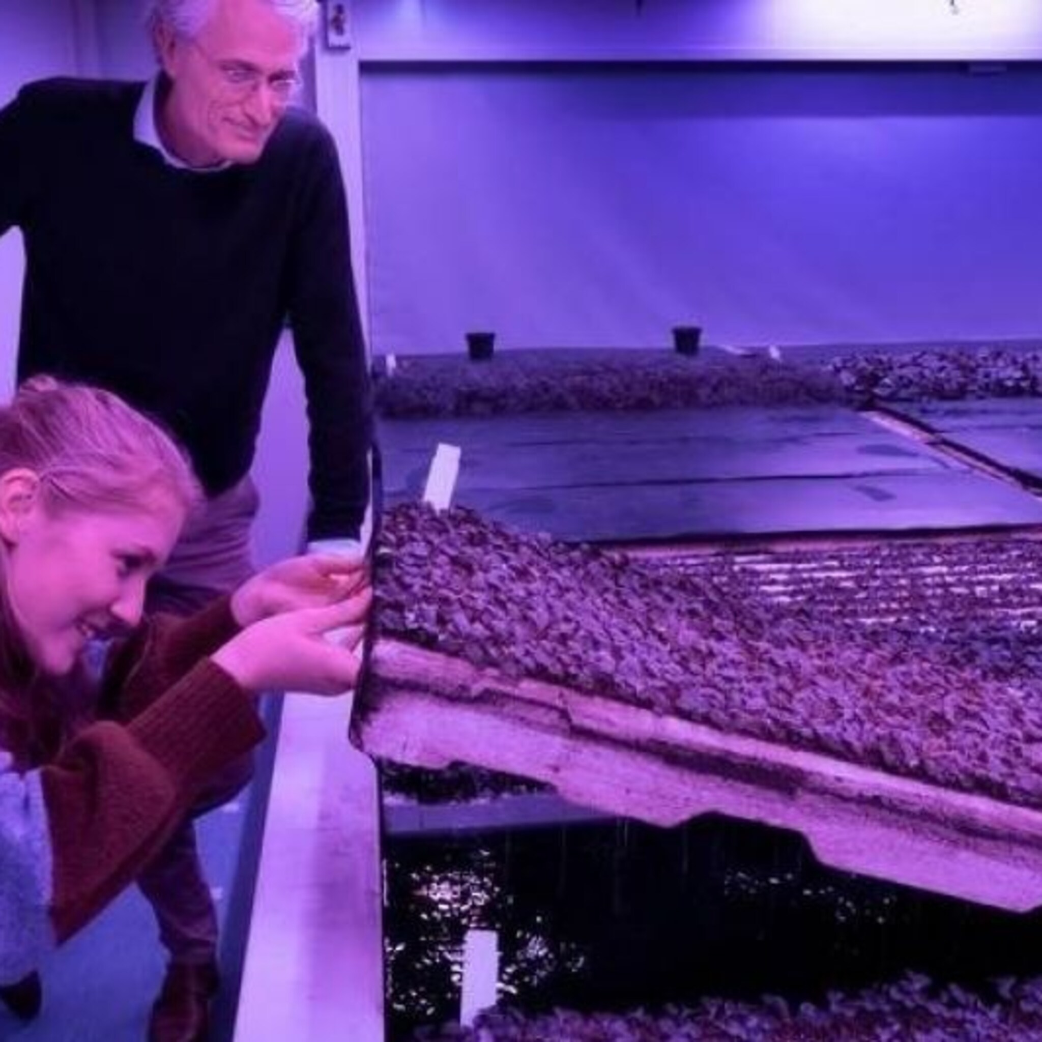 plantlab kruipt uit de kelders en gaat nu serieus voedsel produceren