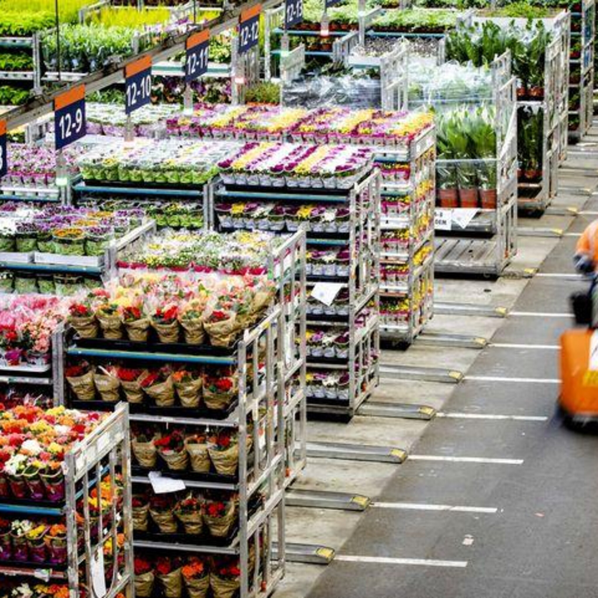 kijkshop nl start verkoop boeketten en versproducten