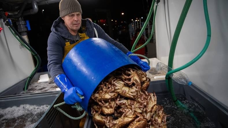 Een tekort aan douaneambtenaren zorgt ervoor dat vooral de visindustrie hard wordt geraakt door Brexit.Foto: Getty Images