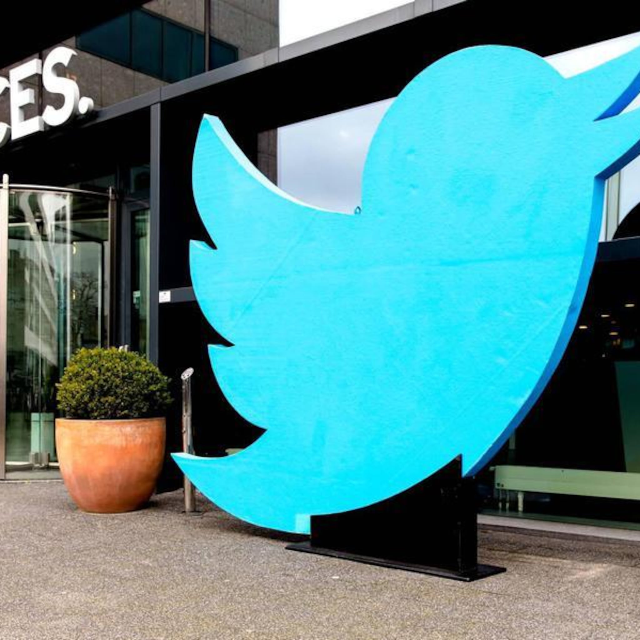 twitter koopt utrechtse startup revue