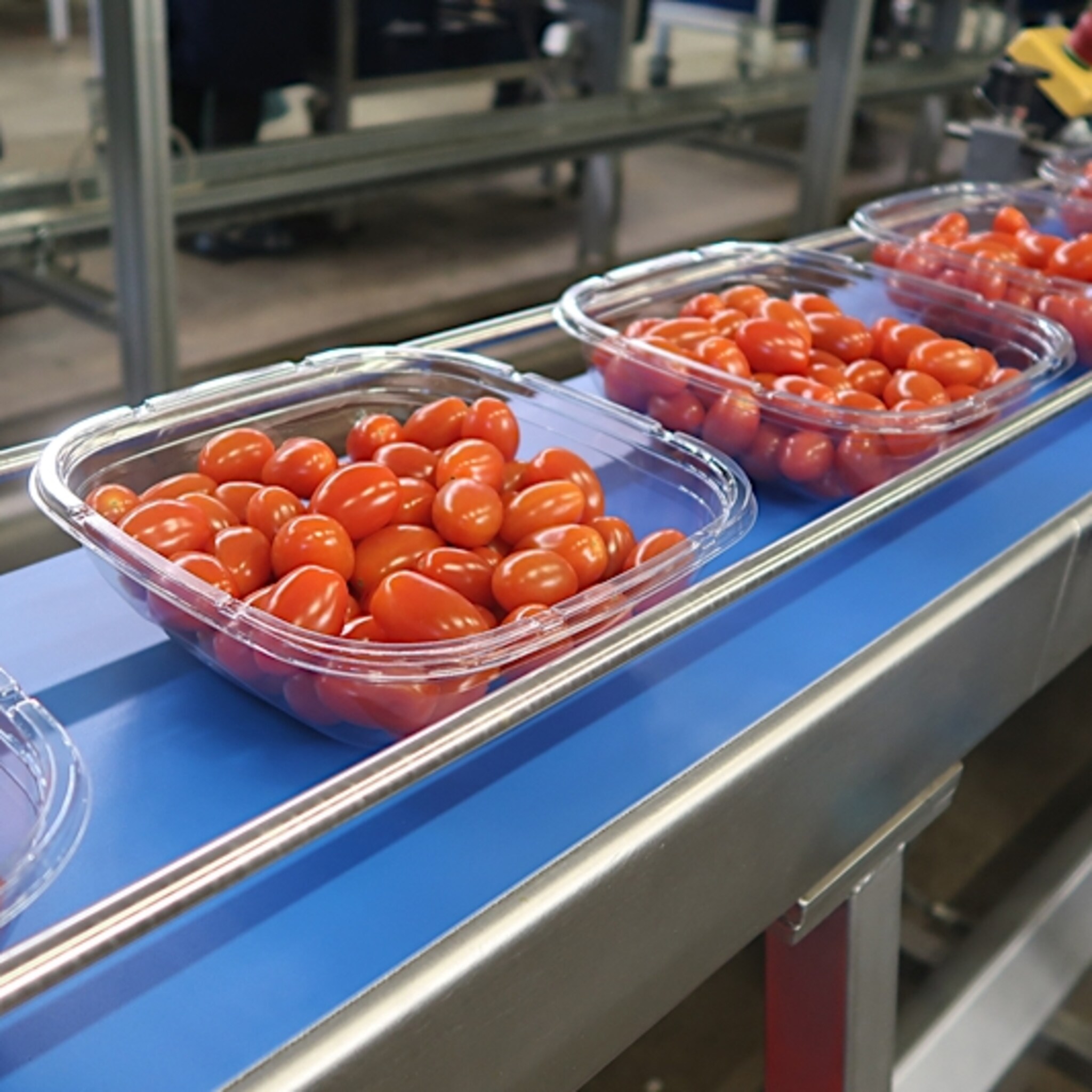 tomatenkweker redstar slaat slag in strijd om gebruik van plastic terug te dringen