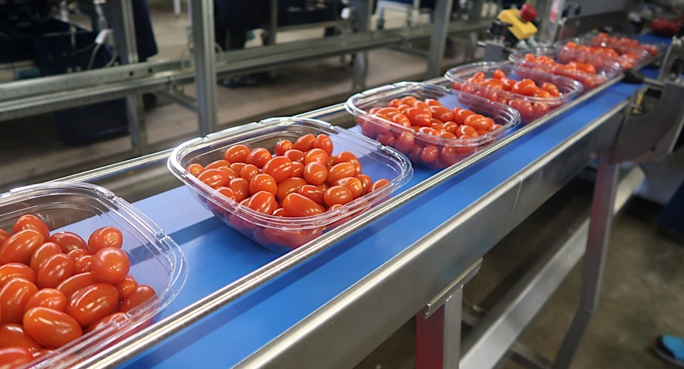 Tomatenspecialist RedStar gebruikt door speciale bakjes 40 procent minder plastic. Foto: RedStar