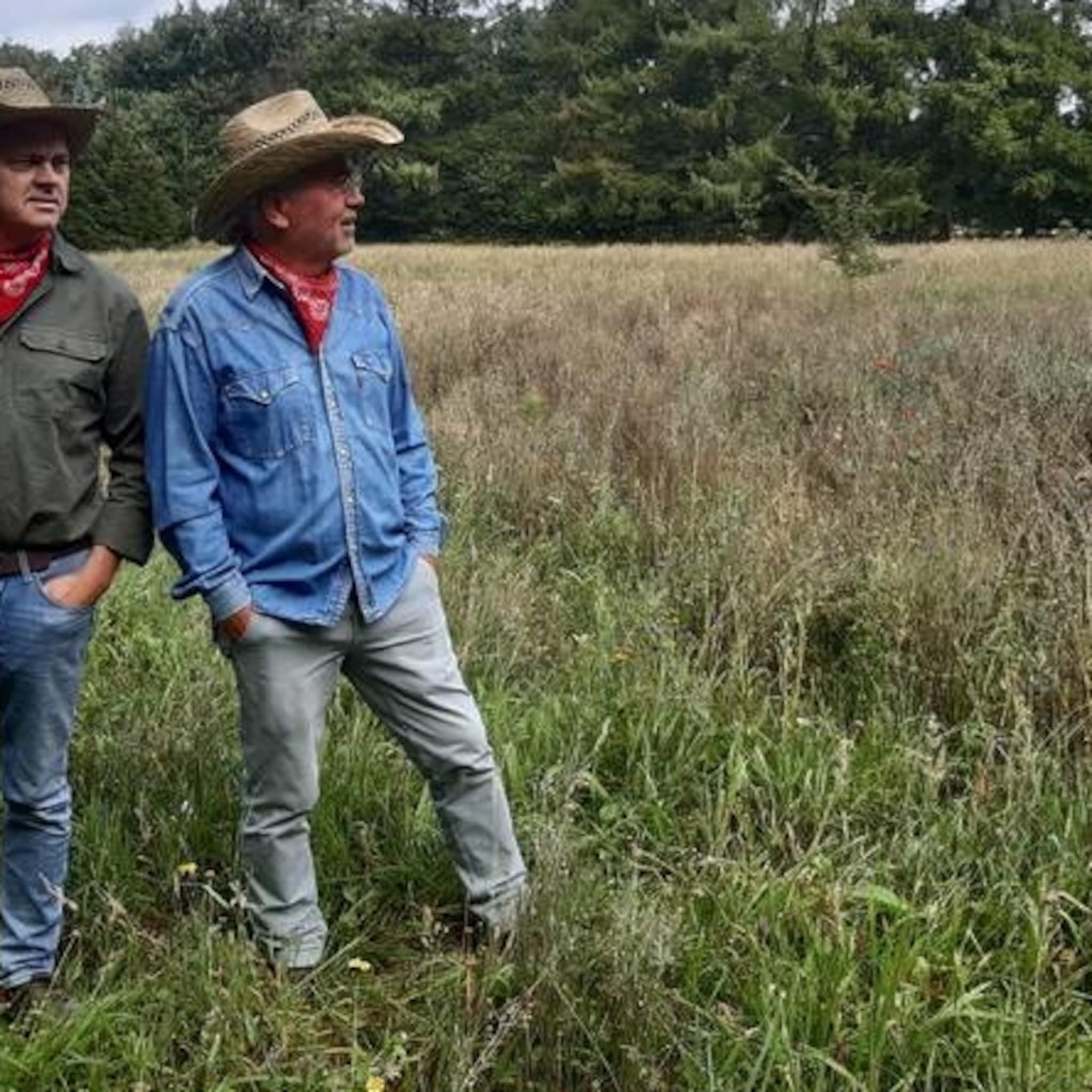 vegetarische slager wordt vegan cowboy en wil melk van gras maken
